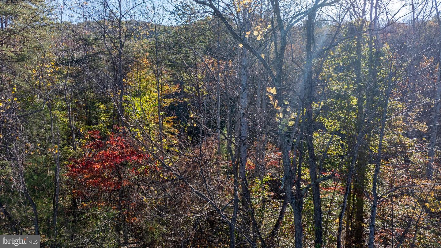 REPUBLICAN CHURCH #2, FERRUM, Virginia 24088, ,Land,For sale,REPUBLICAN CHURCH #2,VAFK2000090 MLS # VAFK2000090