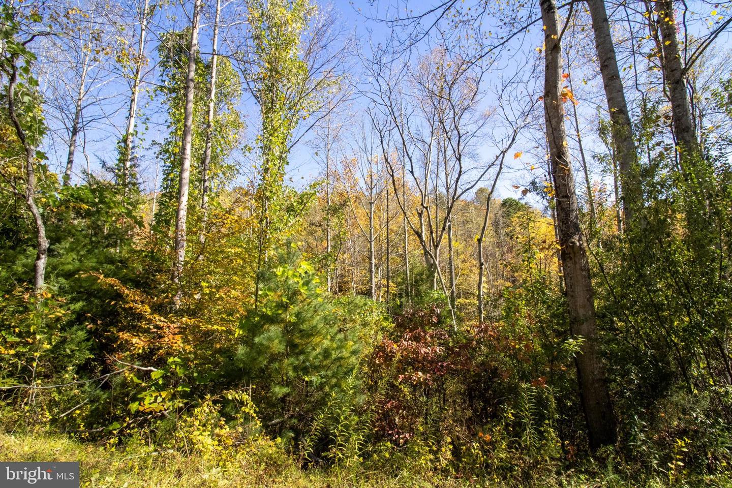 REPUBLICAN CHURCH #2, FERRUM, Virginia 24088, ,Land,For sale,REPUBLICAN CHURCH #2,VAFK2000090 MLS # VAFK2000090