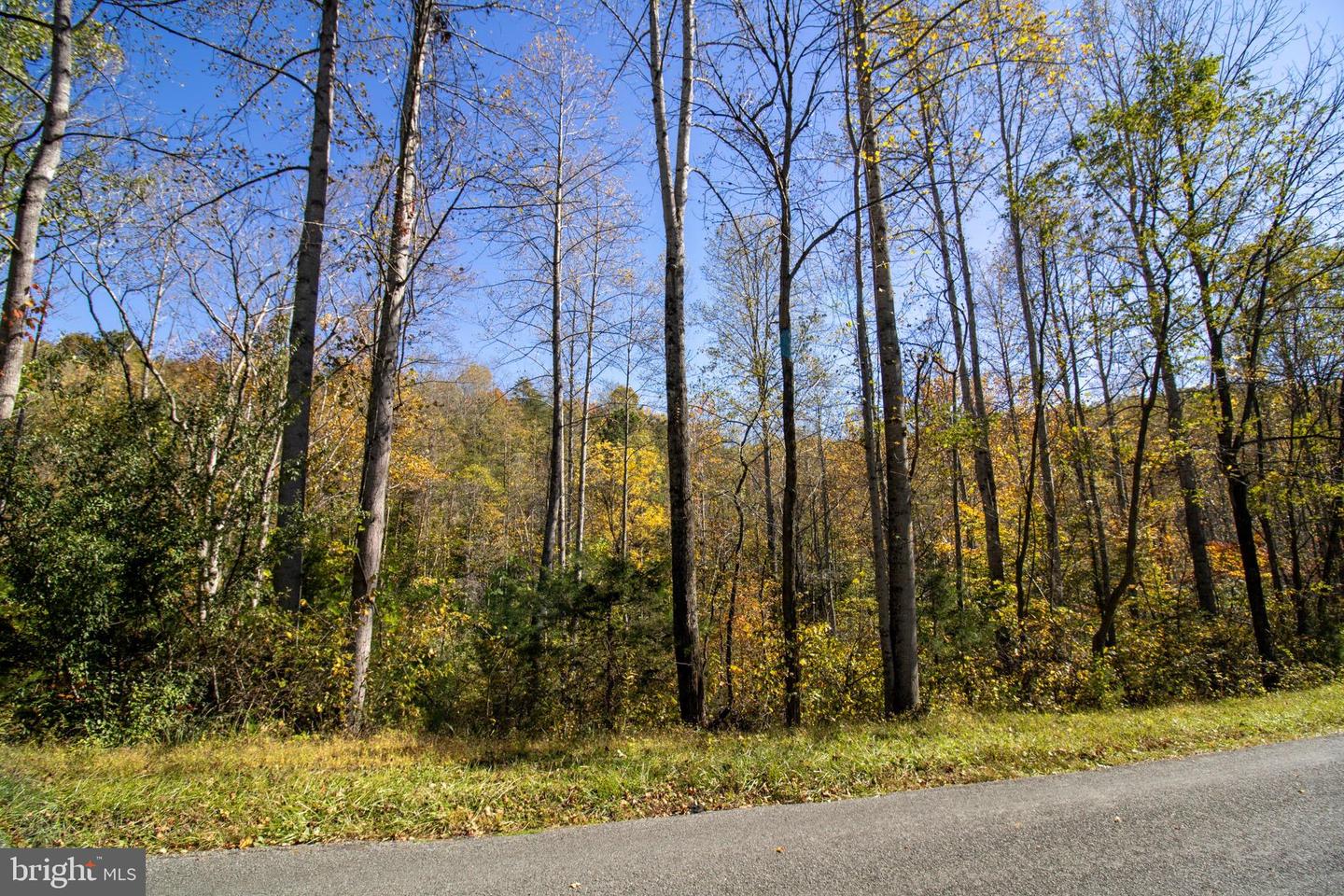 REPUBLICAN CHURCH #2, FERRUM, Virginia 24088, ,Land,For sale,REPUBLICAN CHURCH #2,VAFK2000090 MLS # VAFK2000090