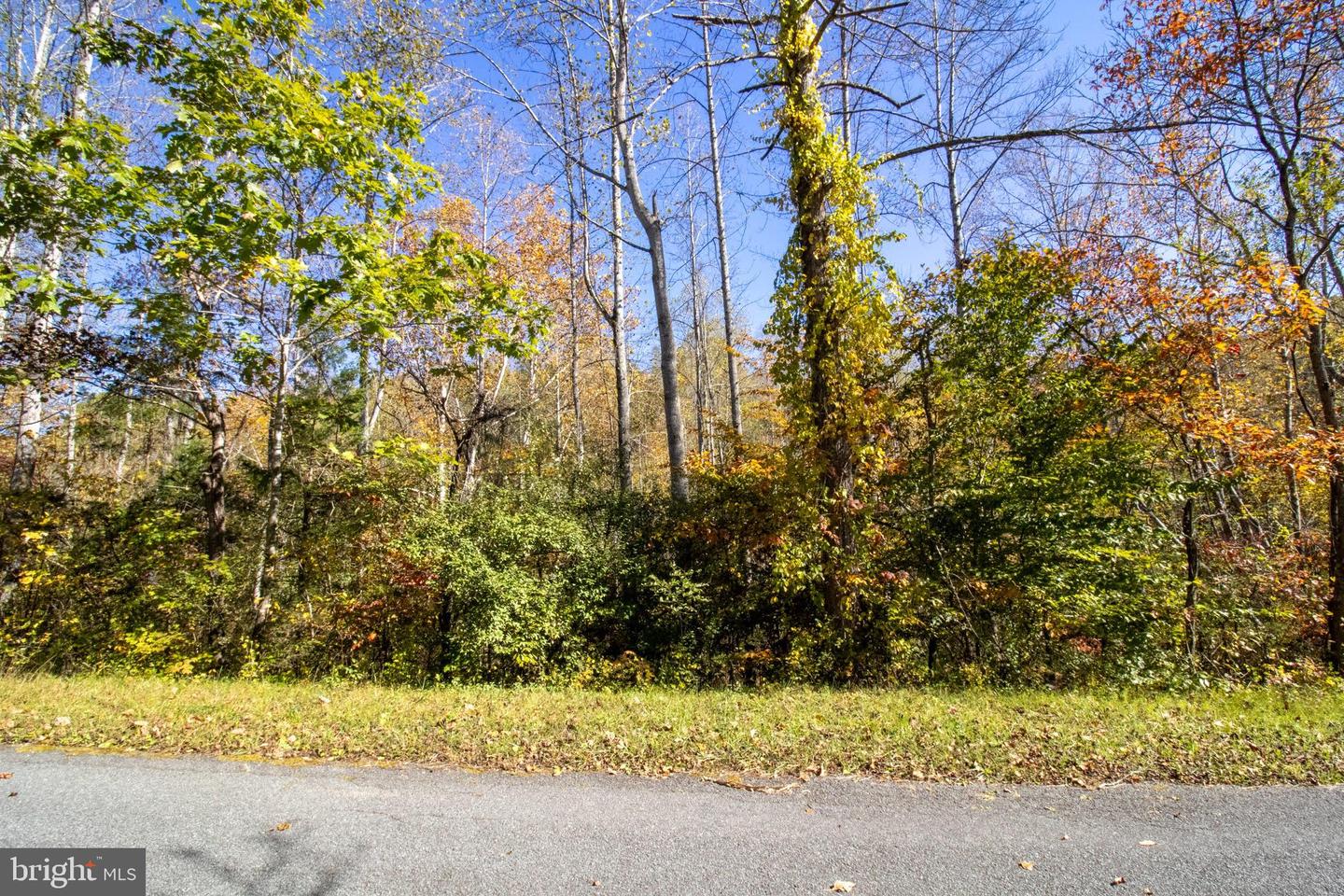 REPUBLICAN CHURCH #2, FERRUM, Virginia 24088, ,Land,For sale,REPUBLICAN CHURCH #2,VAFK2000090 MLS # VAFK2000090