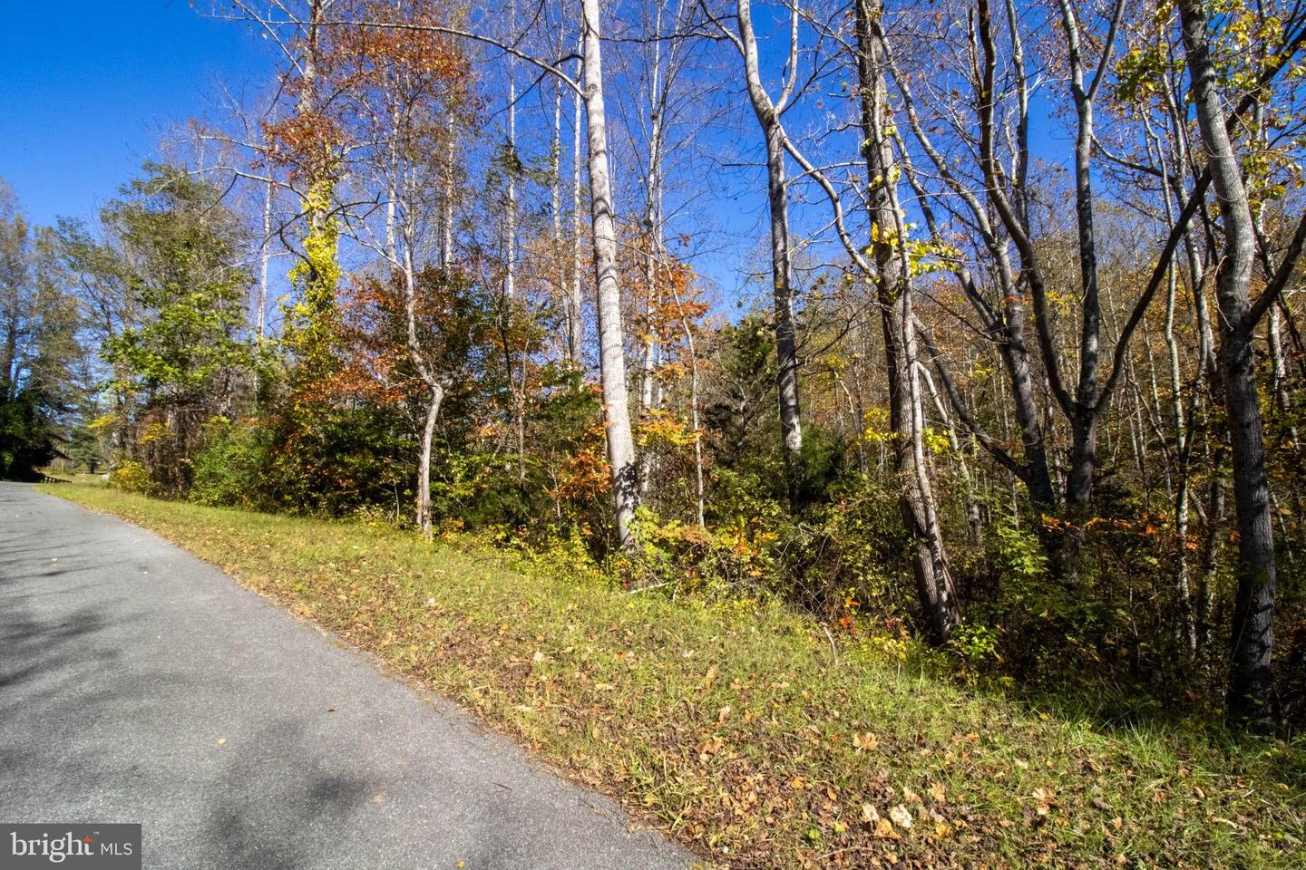 REPUBLICAN CHURCH #2, FERRUM, Virginia 24088, ,Land,For sale,REPUBLICAN CHURCH #2,VAFK2000090 MLS # VAFK2000090