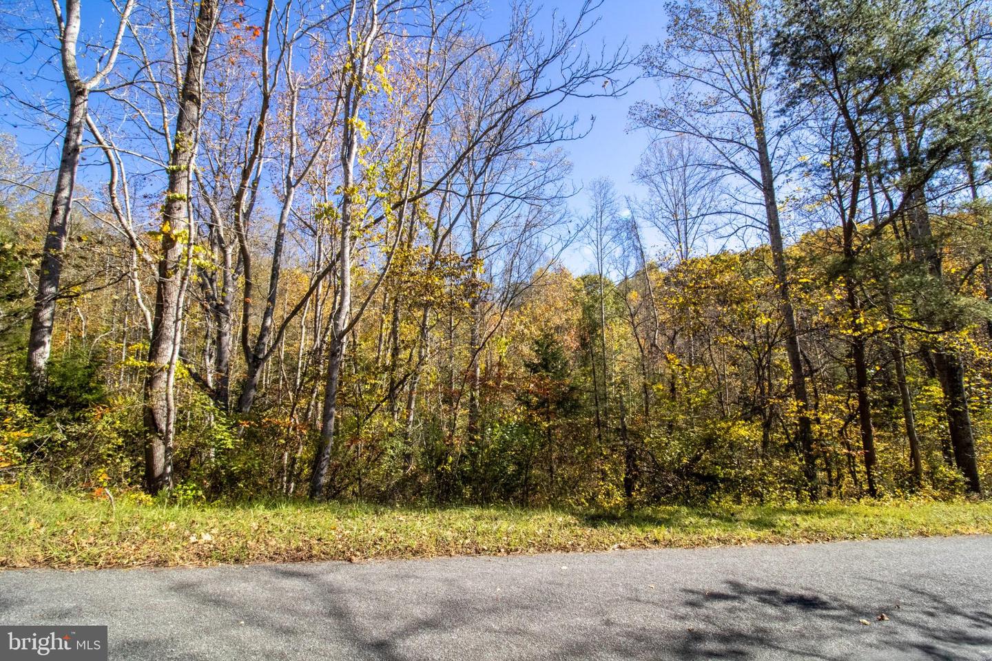 REPUBLICAN CHURCH #2, FERRUM, Virginia 24088, ,Land,For sale,REPUBLICAN CHURCH #2,VAFK2000090 MLS # VAFK2000090