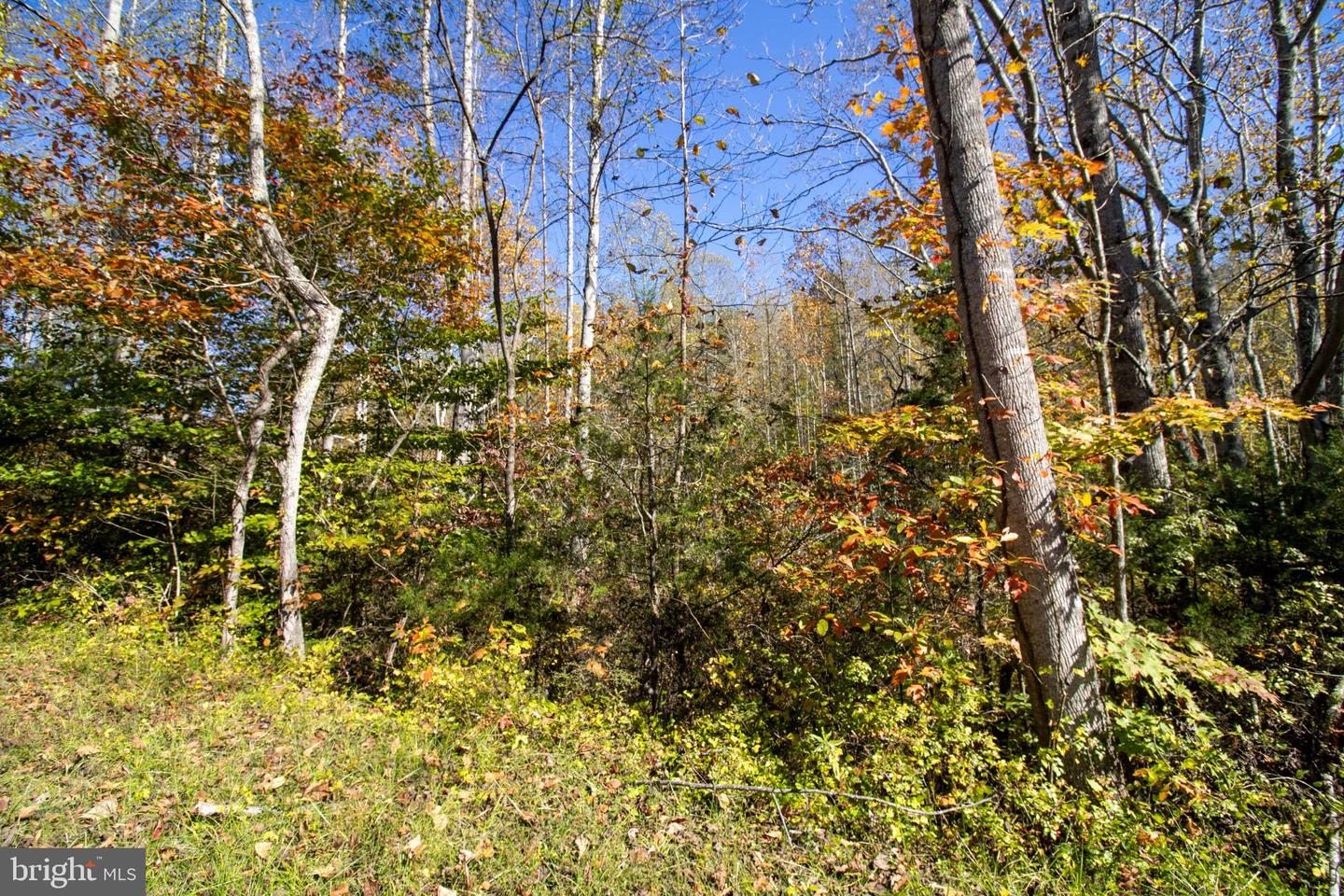REPUBLICAN CHURCH #2, FERRUM, Virginia 24088, ,Land,For sale,REPUBLICAN CHURCH #2,VAFK2000090 MLS # VAFK2000090