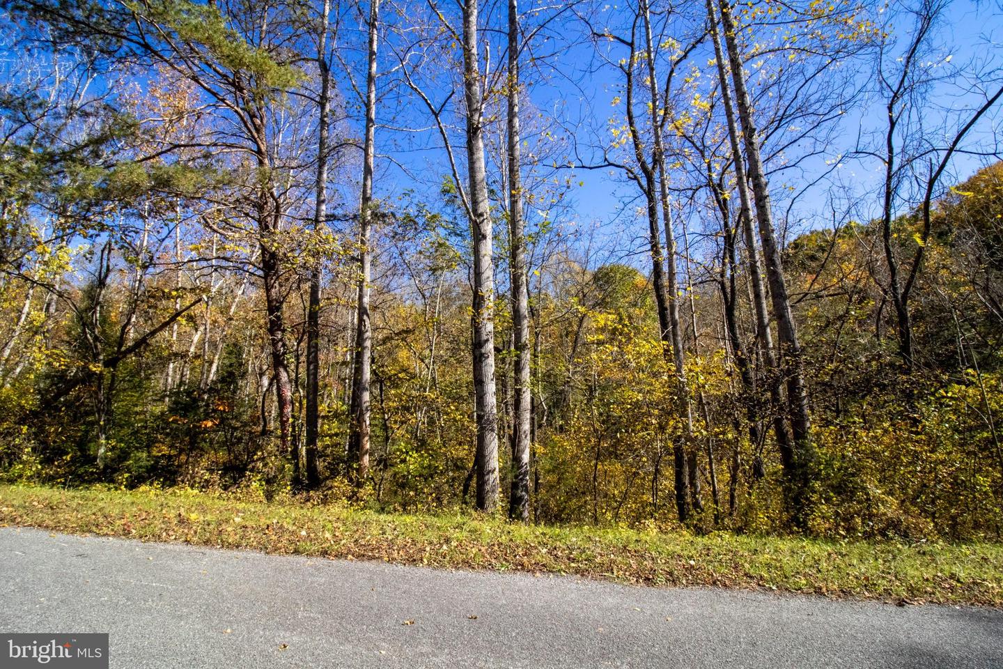 REPUBLICAN CHURCH #2, FERRUM, Virginia 24088, ,Land,For sale,REPUBLICAN CHURCH #2,VAFK2000090 MLS # VAFK2000090