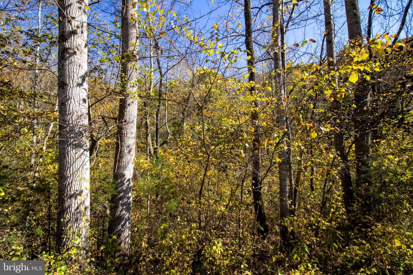 REPUBLICAN CHURCH #2, FERRUM, Virginia 24088, ,Land,For sale,REPUBLICAN CHURCH #2,VAFK2000090 MLS # VAFK2000090