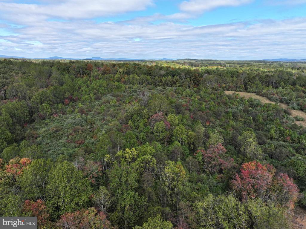 15371 SHEADS MOUNTAIN ROAD, RIXEYVILLE, Virginia 22737, 3 Bedrooms Bedrooms, ,3 BathroomsBathrooms,Residential,15371 SHEADS MOUNTAIN ROAD,VACU2011816 MLS # VACU2011816 15371 SHEADS MOUNTAIN ROAD, RIXEYVILLE, Virginia 22737, 3 Bedrooms Bedrooms, ,3 BathroomsBathrooms,Residential,15371 SHEADS MOUNTAIN ROAD,VACU2011816 MLS # VACU2011816