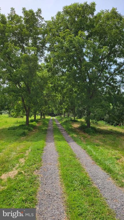 15371 SHEADS MOUNTAIN ROAD, RIXEYVILLE, Virginia 22737, 3 Bedrooms Bedrooms, ,3 BathroomsBathrooms,Residential,15371 SHEADS MOUNTAIN ROAD,VACU2011816 MLS # VACU2011816 15371 SHEADS MOUNTAIN ROAD, RIXEYVILLE, Virginia 22737, 3 Bedrooms Bedrooms, ,3 BathroomsBathrooms,Residential,15371 SHEADS MOUNTAIN ROAD,VACU2011816 MLS # VACU2011816