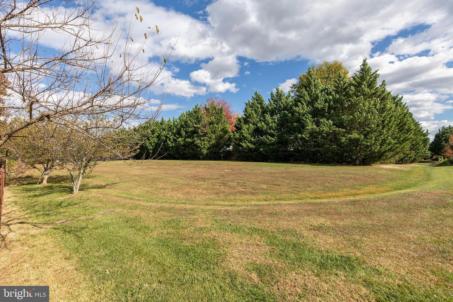 135 TRUNK DR, STEPHENS CITY, Virginia 22655, 4 Bedrooms Bedrooms, ,2 BathroomsBathrooms,Residential,For sale,135 TRUNK DR,VAFV2036780 MLS # VAFV2036780 135 TRUNK DR, STEPHENS CITY, Virginia 22655, 4 Bedrooms Bedrooms, ,2 BathroomsBathrooms,Residential,For sale,135 TRUNK DR,VAFV2036780 MLS # VAFV2036780
