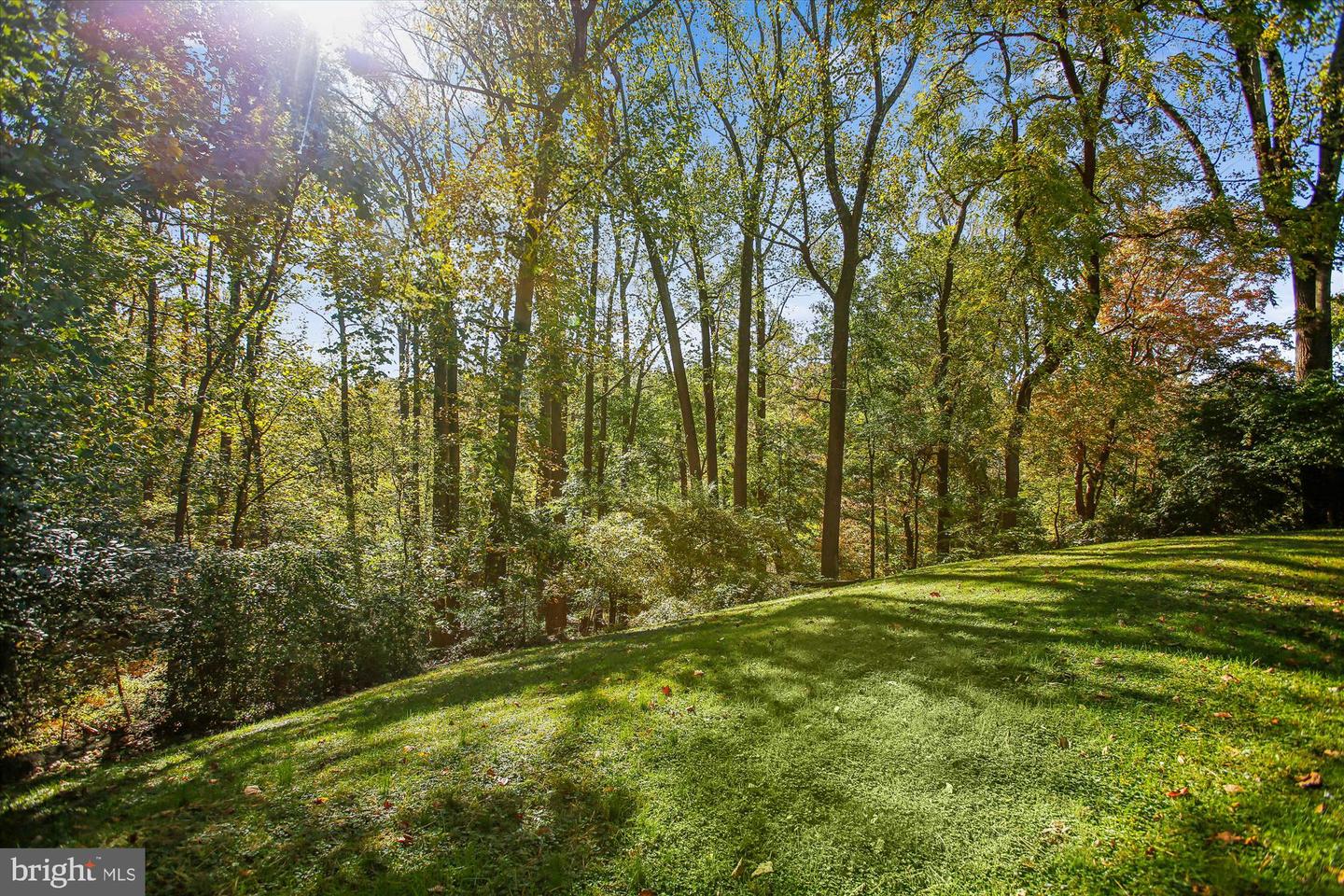 5300 1ST PL N, ARLINGTON, Virginia 22203, 3 Bedrooms Bedrooms, 12 Rooms Rooms,3 BathroomsBathrooms,Residential,For sale,5300 1ST PL N,VAAR2063636 MLS # VAAR2063636 5300 1ST PL N, ARLINGTON, Virginia 22203, 3 Bedrooms Bedrooms, 12 Rooms Rooms,3 BathroomsBathrooms,Residential,For sale,5300 1ST PL N,VAAR2063636 MLS # VAAR2063636