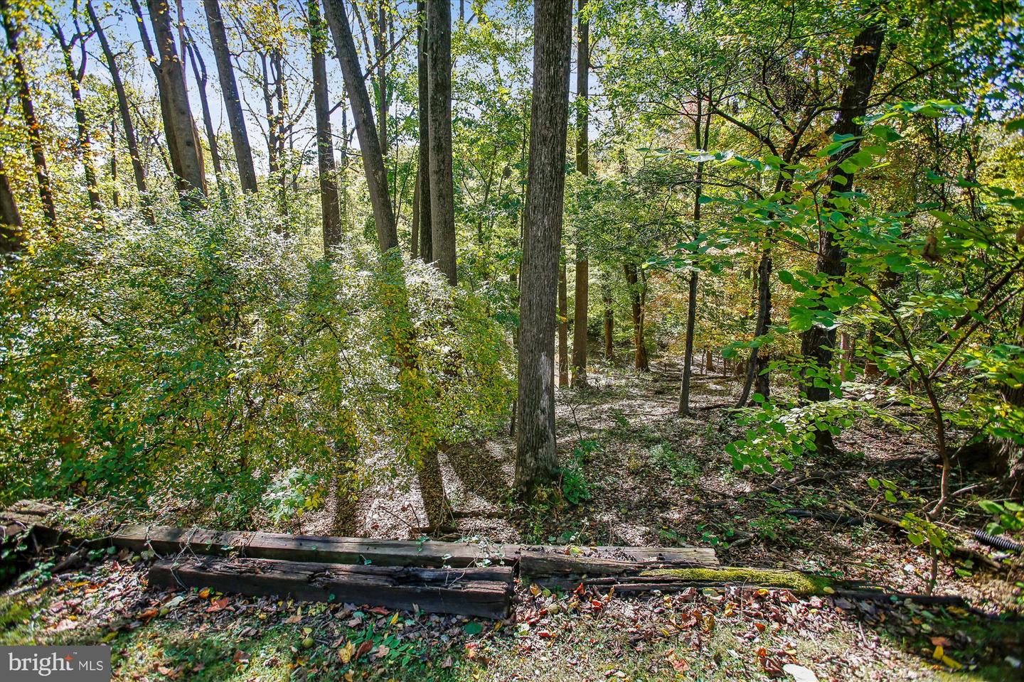 5300 1ST PL N, ARLINGTON, Virginia 22203, 3 Bedrooms Bedrooms, 12 Rooms Rooms,3 BathroomsBathrooms,Residential,For sale,5300 1ST PL N,VAAR2063636 MLS # VAAR2063636 5300 1ST PL N, ARLINGTON, Virginia 22203, 3 Bedrooms Bedrooms, 12 Rooms Rooms,3 BathroomsBathrooms,Residential,For sale,5300 1ST PL N,VAAR2063636 MLS # VAAR2063636