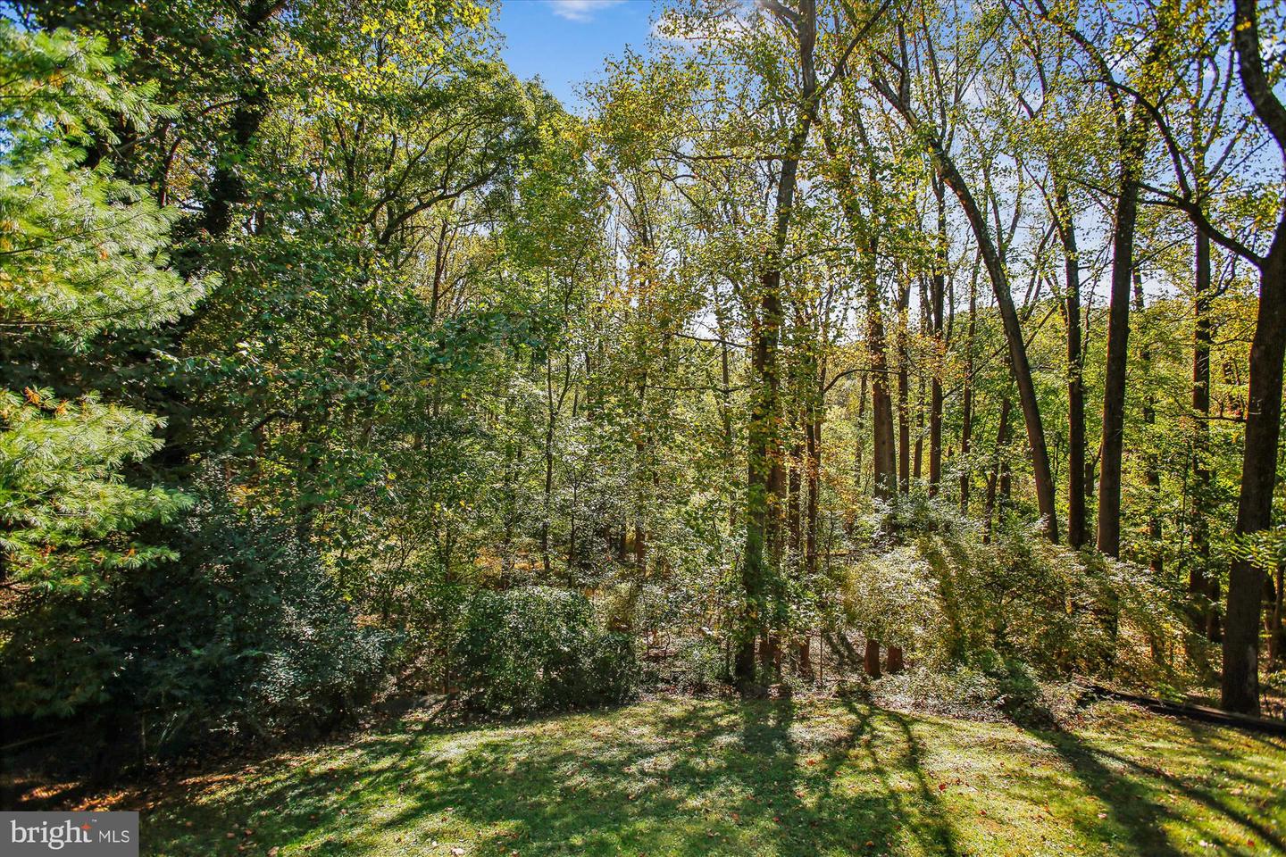 5300 1ST PL N, ARLINGTON, Virginia 22203, 3 Bedrooms Bedrooms, 12 Rooms Rooms,3 BathroomsBathrooms,Residential,For sale,5300 1ST PL N,VAAR2063636 MLS # VAAR2063636 5300 1ST PL N, ARLINGTON, Virginia 22203, 3 Bedrooms Bedrooms, 12 Rooms Rooms,3 BathroomsBathrooms,Residential,For sale,5300 1ST PL N,VAAR2063636 MLS # VAAR2063636