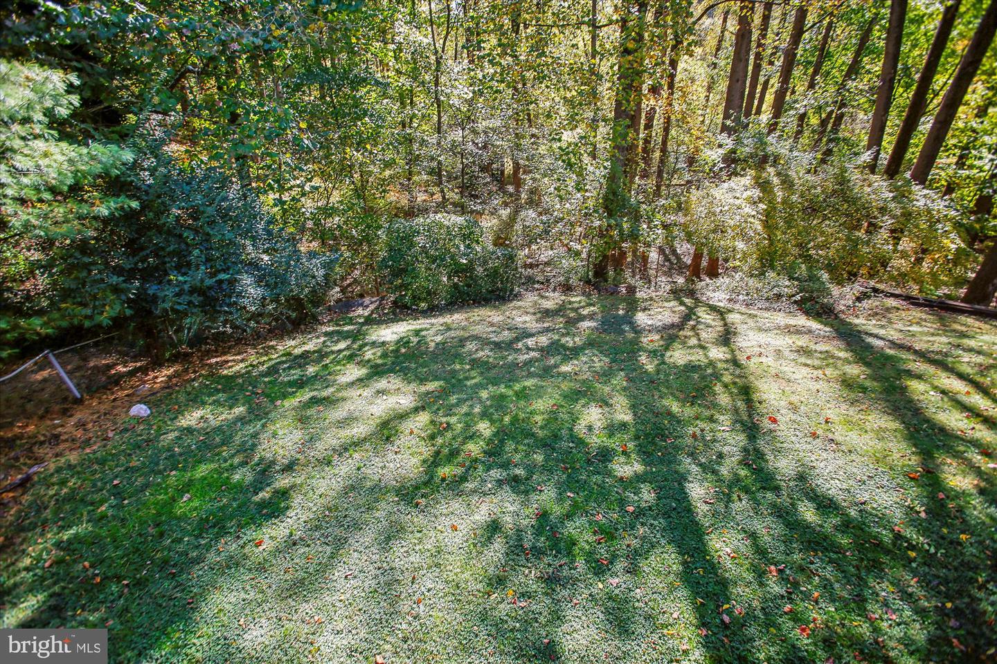 5300 1ST PL N, ARLINGTON, Virginia 22203, 3 Bedrooms Bedrooms, 12 Rooms Rooms,3 BathroomsBathrooms,Residential,For sale,5300 1ST PL N,VAAR2063636 MLS # VAAR2063636 5300 1ST PL N, ARLINGTON, Virginia 22203, 3 Bedrooms Bedrooms, 12 Rooms Rooms,3 BathroomsBathrooms,Residential,For sale,5300 1ST PL N,VAAR2063636 MLS # VAAR2063636