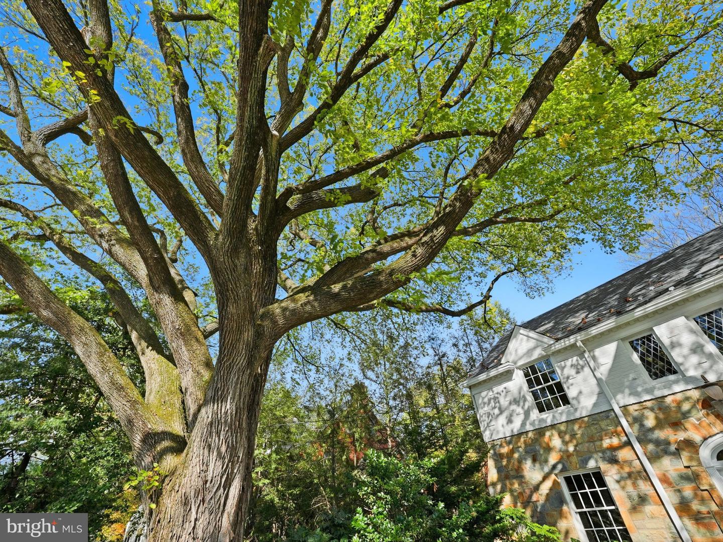 3225 N GLEBE RD, ARLINGTON, Virginia 22207, 5 Bedrooms Bedrooms, ,4 BathroomsBathrooms,Residential,For sale,3225 N GLEBE RD,VAAR2064802 MLS # VAAR2064802 3225 N GLEBE RD, ARLINGTON, Virginia 22207, 5 Bedrooms Bedrooms, ,4 BathroomsBathrooms,Residential,For sale,3225 N GLEBE RD,VAAR2064802 MLS # VAAR2064802