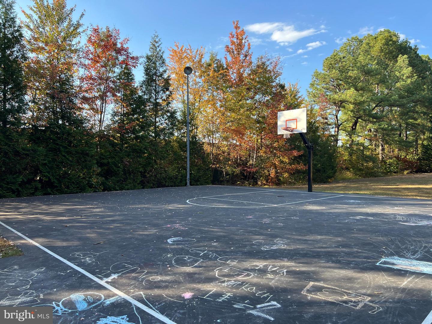 8238 SHANNONS LANDING WAY, LORTON, Virginia 22079, 3 Bedrooms Bedrooms, ,3 BathroomsBathrooms,Residential,For sale,8238 SHANNONS LANDING WAY,VAFX2274106 MLS # VAFX2274106