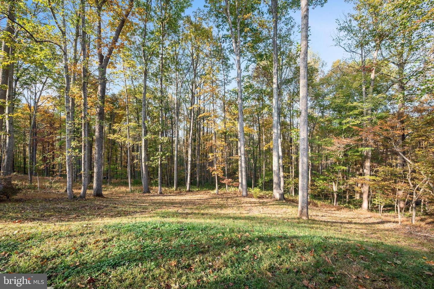 3534 SOUTHAMPTON DR, JEFFERSONTON, Virginia 22724, 4 Bedrooms Bedrooms, ,2 BathroomsBathrooms,Residential,For sale,3534 SOUTHAMPTON DR,VACU2011802 MLS # VACU2011802 3534 SOUTHAMPTON DR, JEFFERSONTON, Virginia 22724, 4 Bedrooms Bedrooms, ,2 BathroomsBathrooms,Residential,For sale,3534 SOUTHAMPTON DR,VACU2011802 MLS # VACU2011802
