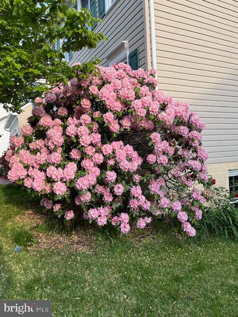 6120 N DANFORD ST, FREDERICKSBURG, Virginia 22407, 4 Bedrooms Bedrooms, ,3 BathroomsBathrooms,Residential,For sale,6120 N DANFORD ST,VASP2036906 MLS # VASP2036906 6120 N DANFORD ST, FREDERICKSBURG, Virginia 22407, 4 Bedrooms Bedrooms, ,3 BathroomsBathrooms,Residential,For sale,6120 N DANFORD ST,VASP2036906 MLS # VASP2036906