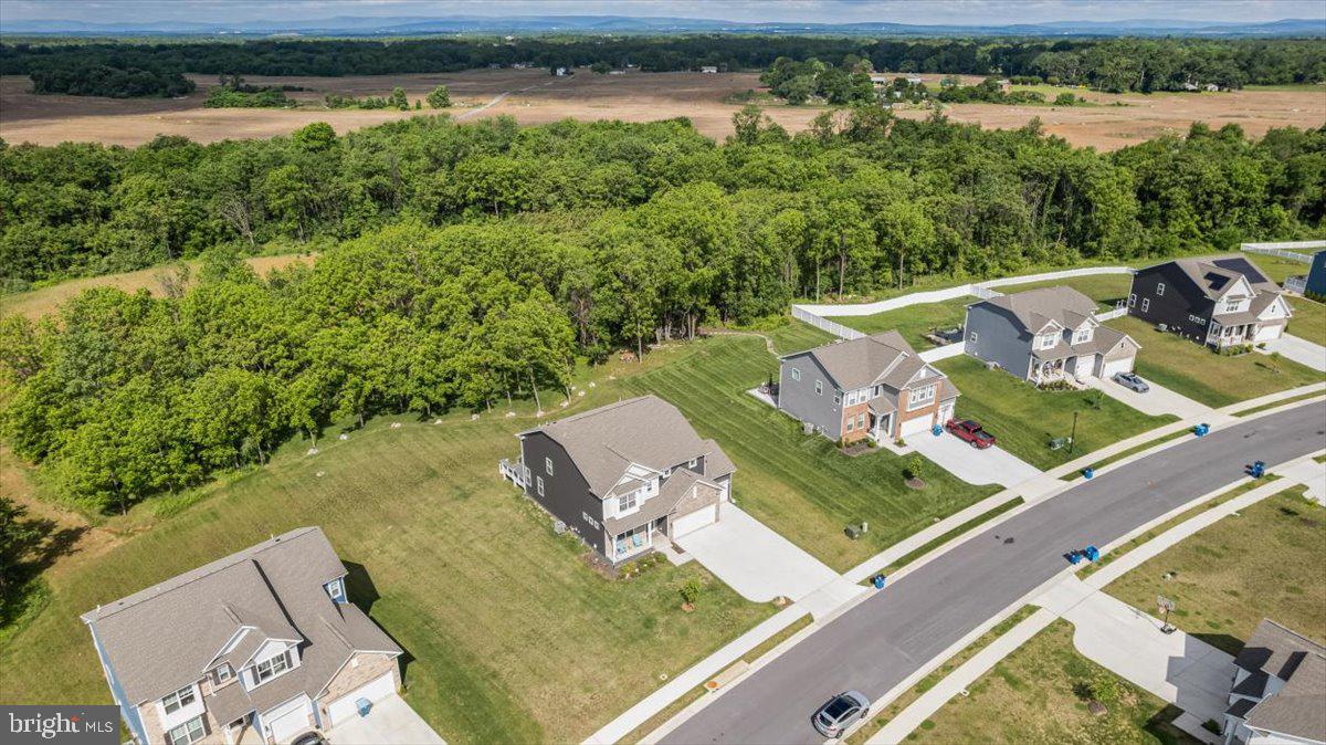 337 TYSON DR, BERRYVILLE, Virginia 22611, 5 Bedrooms Bedrooms, ,4 BathroomsBathrooms,Residential,For sale,337 TYSON DR,VACL2006142 MLS # VACL2006142 337 TYSON DR, BERRYVILLE, Virginia 22611, 5 Bedrooms Bedrooms, ,4 BathroomsBathrooms,Residential,For sale,337 TYSON DR,VACL2006142 MLS # VACL2006142