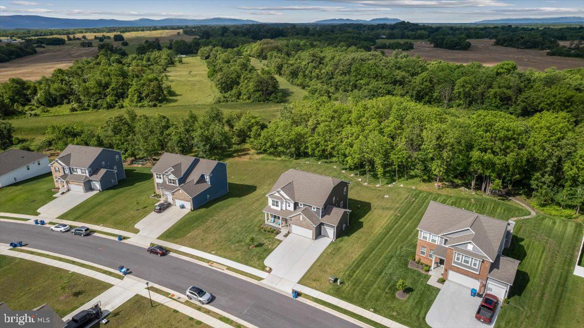 337 TYSON DR, BERRYVILLE, Virginia 22611, 5 Bedrooms Bedrooms, ,4 BathroomsBathrooms,Residential,For sale,337 TYSON DR,VACL2006142 MLS # VACL2006142 337 TYSON DR, BERRYVILLE, Virginia 22611, 5 Bedrooms Bedrooms, ,4 BathroomsBathrooms,Residential,For sale,337 TYSON DR,VACL2006142 MLS # VACL2006142