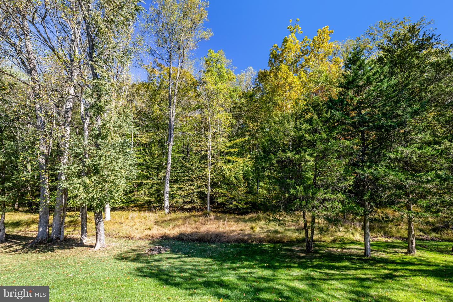 329 CLUB VIEW DR, GREAT FALLS, Virginia 22066, 5 Bedrooms Bedrooms, ,3 BathroomsBathrooms,Residential,For sale,329 CLUB VIEW DR,VAFX2274956 MLS # VAFX2274956 329 CLUB VIEW DR, GREAT FALLS, Virginia 22066, 5 Bedrooms Bedrooms, ,3 BathroomsBathrooms,Residential,For sale,329 CLUB VIEW DR,VAFX2274956 MLS # VAFX2274956