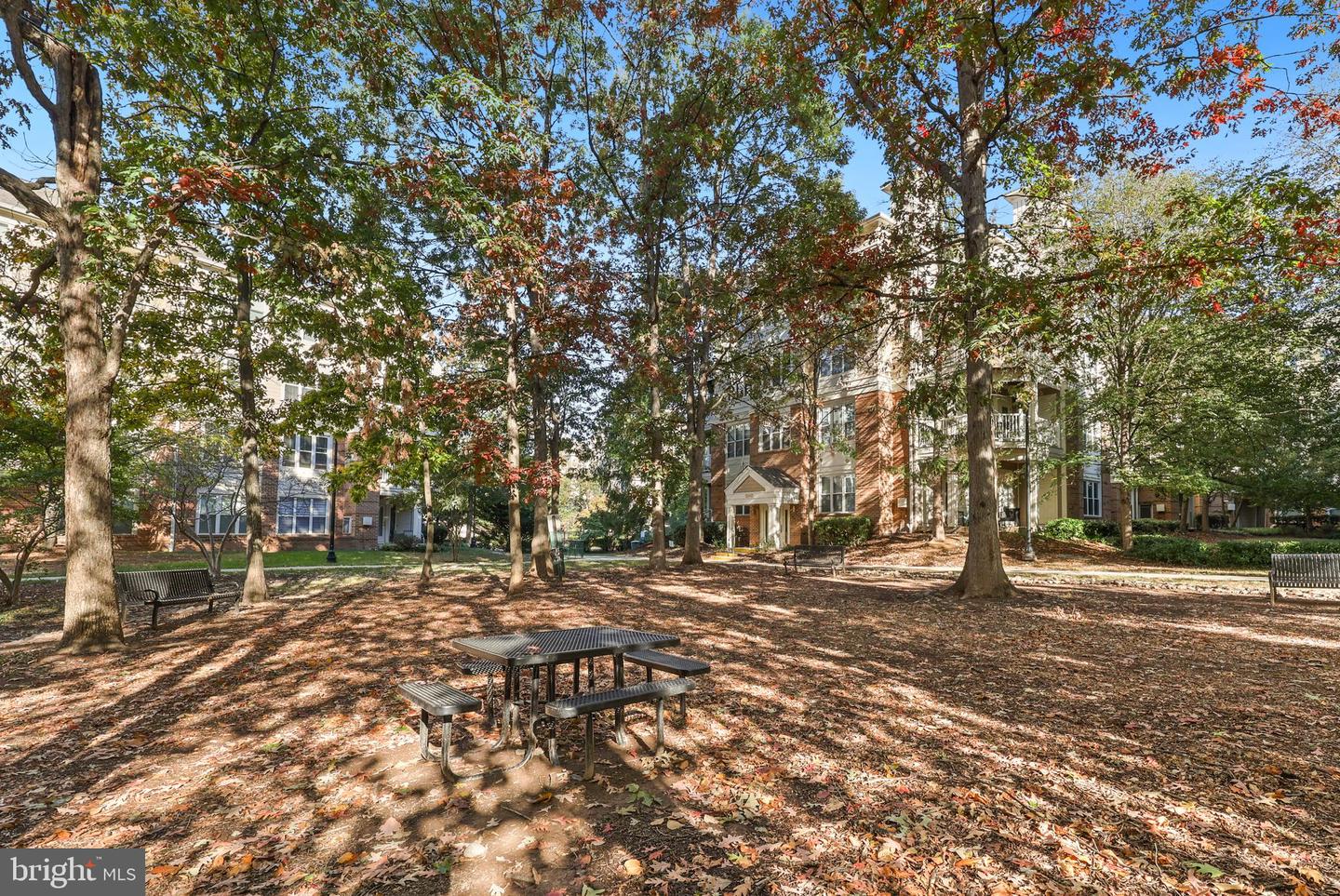 12913 ALTON SQ #210, HERNDON, Virginia 20170, 2 Bedrooms Bedrooms, ,2 BathroomsBathrooms,Residential,For sale,12913 ALTON SQ #210,VAFX2275228 MLS # VAFX2275228 12913 ALTON SQ #210, HERNDON, Virginia 20170, 2 Bedrooms Bedrooms, ,2 BathroomsBathrooms,Residential,For sale,12913 ALTON SQ #210,VAFX2275228 MLS # VAFX2275228