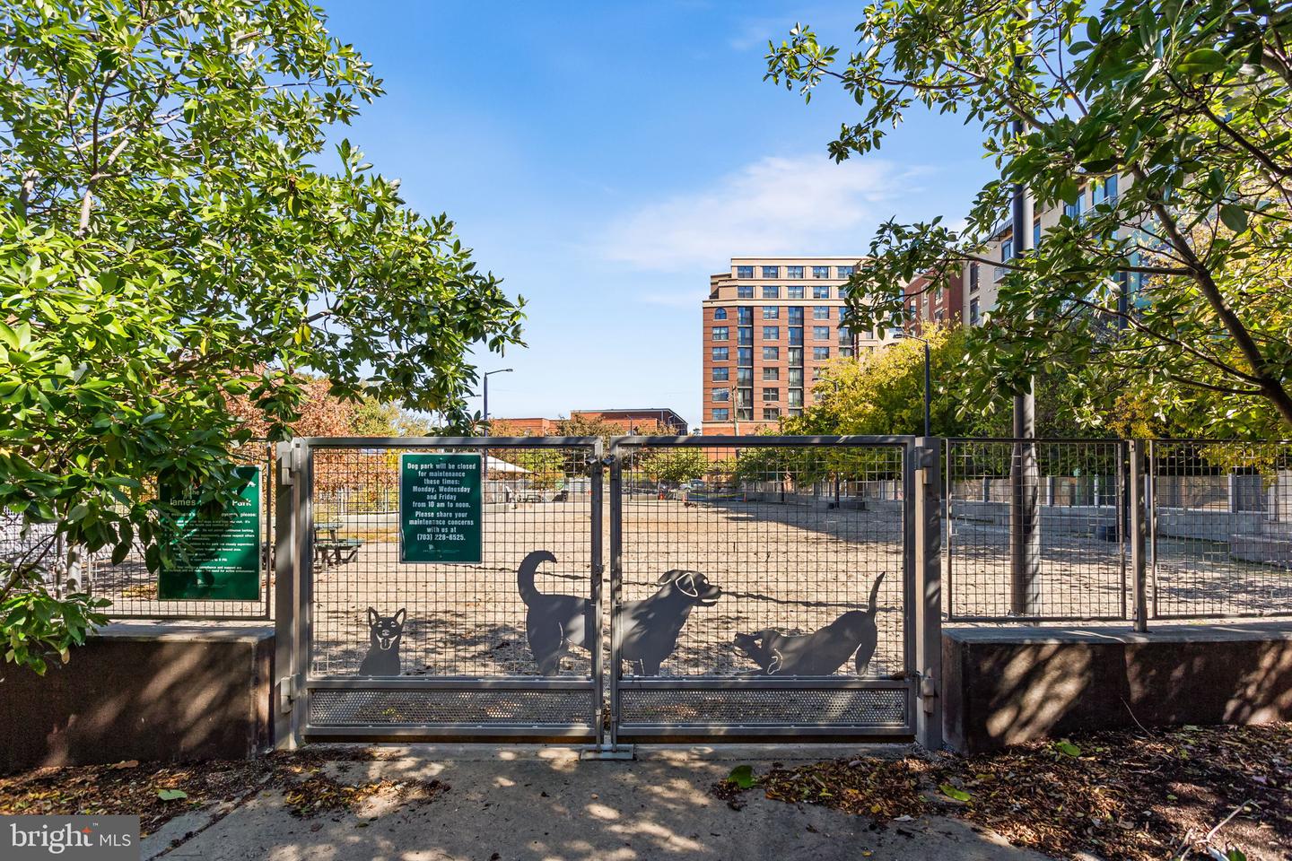 1020 N HIGHLAND ST #621, ARLINGTON, Virginia 22201, 1 Bedroom Bedrooms, ,1 BathroomBathrooms,Residential,For sale,1020 N HIGHLAND ST #621,VAAR2065184 MLS # VAAR2065184 1020 N HIGHLAND ST #621, ARLINGTON, Virginia 22201, 1 Bedroom Bedrooms, ,1 BathroomBathrooms,Residential,For sale,1020 N HIGHLAND ST #621,VAAR2065184 MLS # VAAR2065184