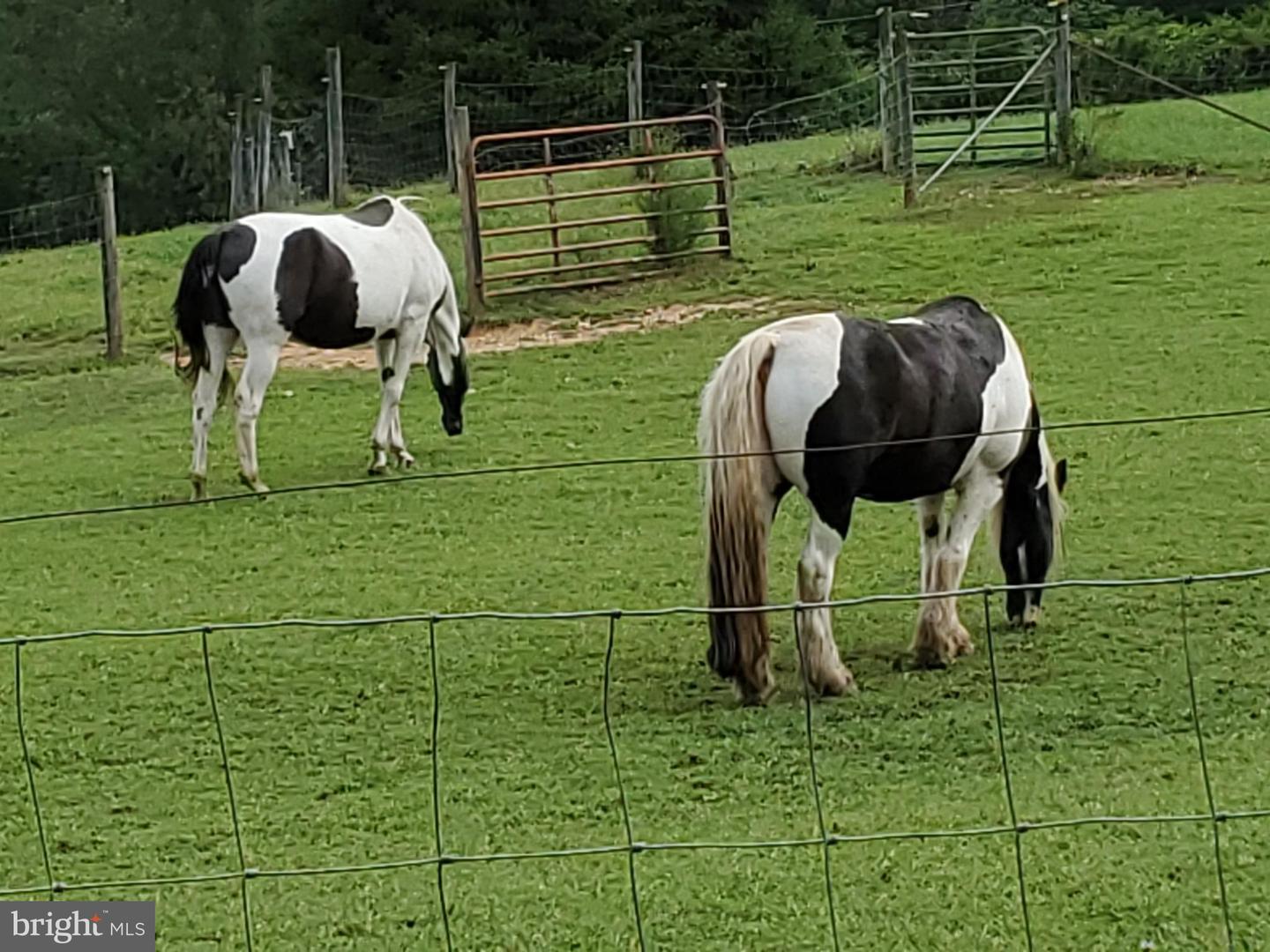 13206 GOLDEN DR, SUMERDUCK, Virginia 22742, 3 Bedrooms Bedrooms, 11 Rooms Rooms,2 BathroomsBathrooms,Residential,For sale,13206 GOLDEN DR,VAFQ2019464 MLS # VAFQ2019464