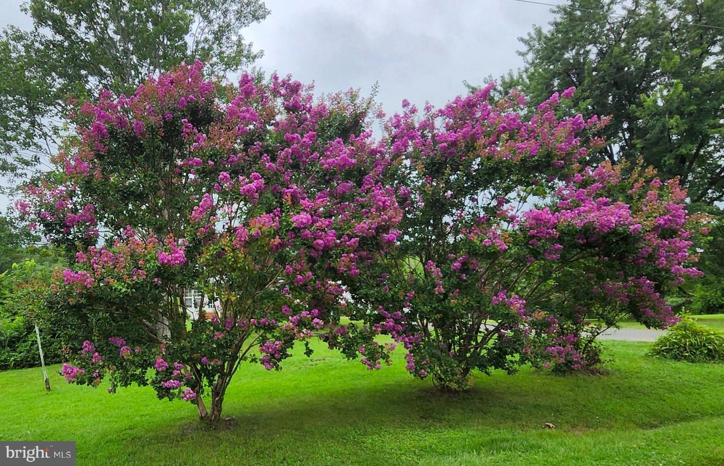 13206 GOLDEN DR, SUMERDUCK, Virginia 22742, 3 Bedrooms Bedrooms, 11 Rooms Rooms,2 BathroomsBathrooms,Residential,For sale,13206 GOLDEN DR,VAFQ2019464 MLS # VAFQ2019464