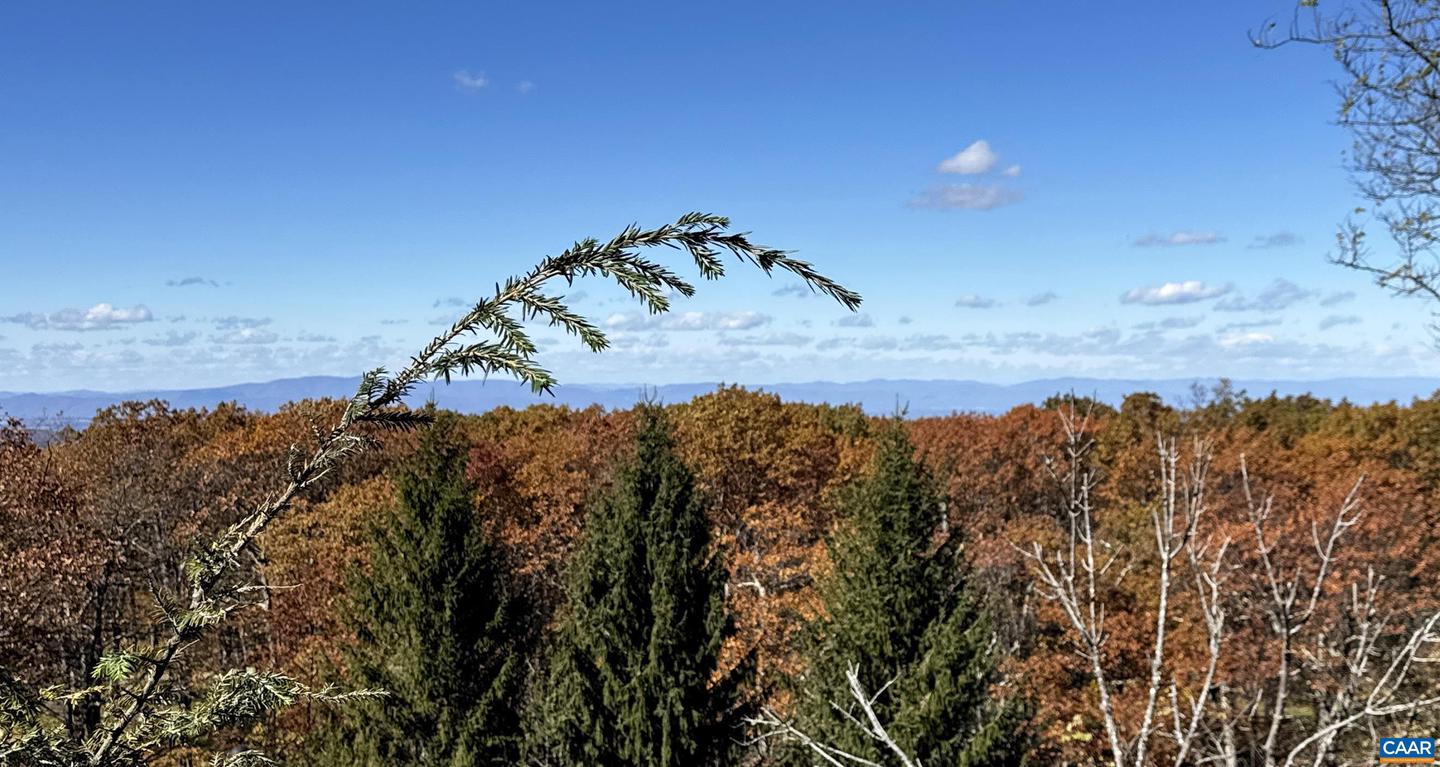 15 SHENANDOAH RIDGE CT, WINTERGREEN RESORT, Virginia 22967, 5 Bedrooms Bedrooms, ,4 BathroomsBathrooms,Residential,For sale,15 SHENANDOAH RIDGE CT,670331 MLS # 670331 15 SHENANDOAH RIDGE CT, WINTERGREEN RESORT, Virginia 22967, 5 Bedrooms Bedrooms, ,4 BathroomsBathrooms,Residential,For sale,15 SHENANDOAH RIDGE CT,670331 MLS # 670331