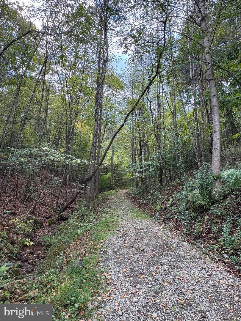 25 FALLING SPRINGS DR, AFTON, Virginia 22920, 3 Bedrooms Bedrooms, ,2 BathroomsBathrooms,Residential,For sale,25 FALLING SPRINGS DR,VANL2000606 MLS # VANL2000606 25 FALLING SPRINGS DR, AFTON, Virginia 22920, 3 Bedrooms Bedrooms, ,2 BathroomsBathrooms,Residential,For sale,25 FALLING SPRINGS DR,VANL2000606 MLS # VANL2000606