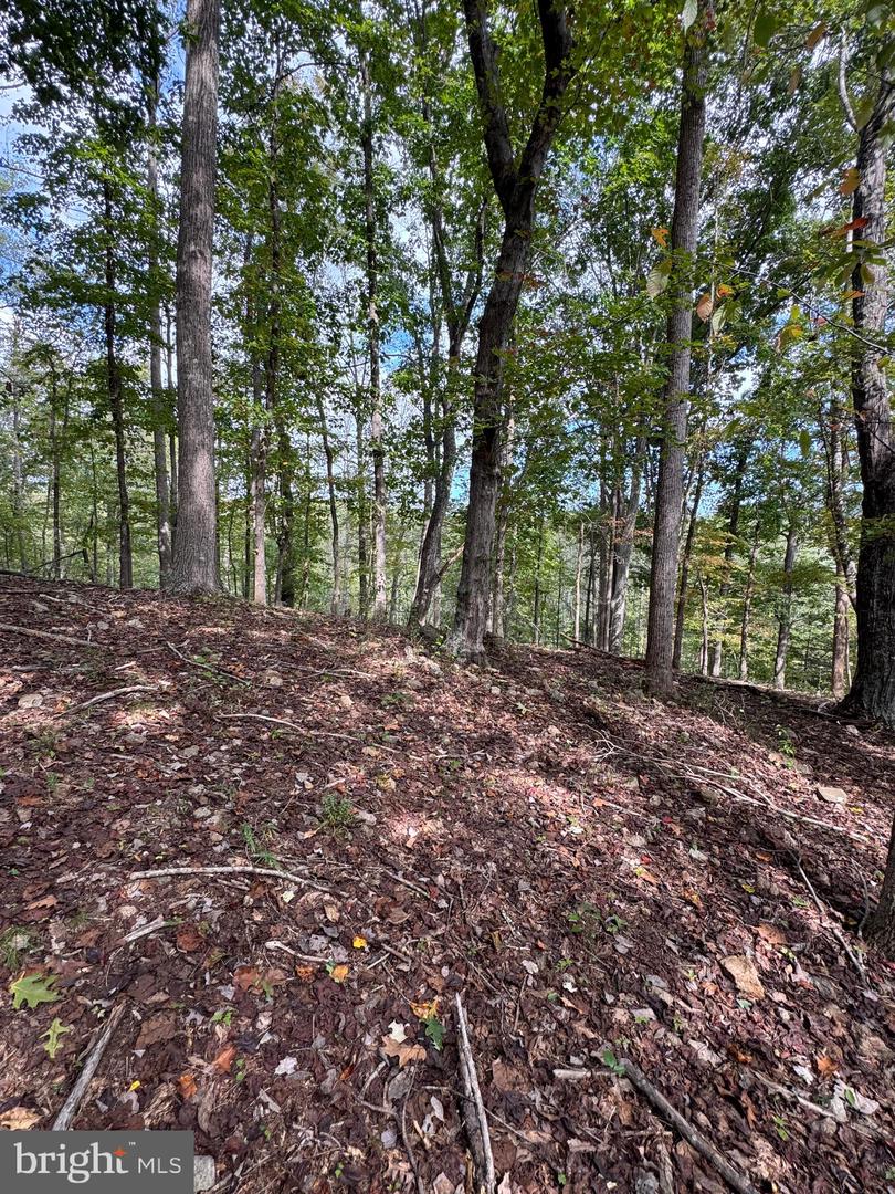 25 FALLING SPRINGS DR, AFTON, Virginia 22920, 3 Bedrooms Bedrooms, ,2 BathroomsBathrooms,Residential,For sale,25 FALLING SPRINGS DR,VANL2000606 MLS # VANL2000606 25 FALLING SPRINGS DR, AFTON, Virginia 22920, 3 Bedrooms Bedrooms, ,2 BathroomsBathrooms,Residential,For sale,25 FALLING SPRINGS DR,VANL2000606 MLS # VANL2000606