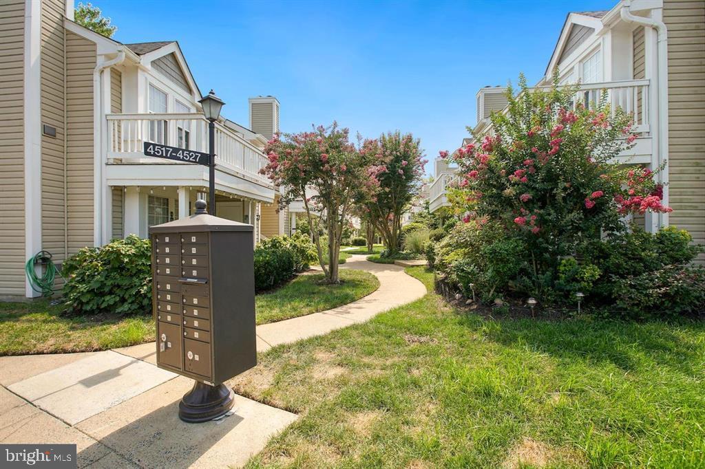 4519 28TH RD S #A, ARLINGTON, Virginia 22206, 2 Bedrooms Bedrooms, ,1 BathroomBathrooms,Residential,For sale,4519 28TH RD S #A,VAAR2065286 MLS # VAAR2065286 4519 28TH RD S #A, ARLINGTON, Virginia 22206, 2 Bedrooms Bedrooms, ,1 BathroomBathrooms,Residential,For sale,4519 28TH RD S #A,VAAR2065286 MLS # VAAR2065286