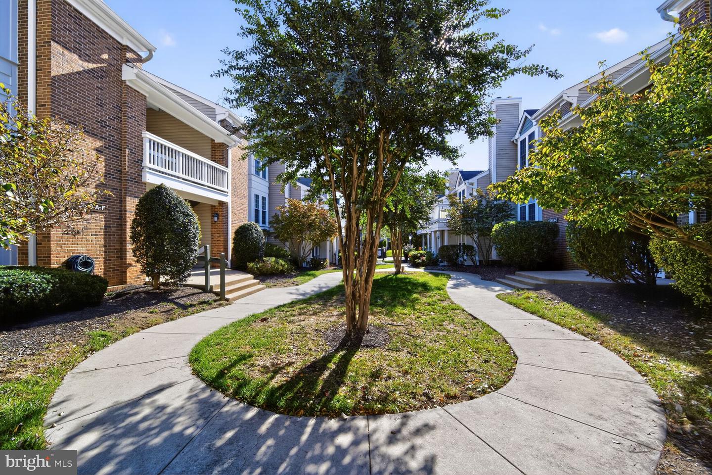 4519 28TH RD S #A, ARLINGTON, Virginia 22206, 2 Bedrooms Bedrooms, ,1 BathroomBathrooms,Residential,For sale,4519 28TH RD S #A,VAAR2065286 MLS # VAAR2065286 4519 28TH RD S #A, ARLINGTON, Virginia 22206, 2 Bedrooms Bedrooms, ,1 BathroomBathrooms,Residential,For sale,4519 28TH RD S #A,VAAR2065286 MLS # VAAR2065286