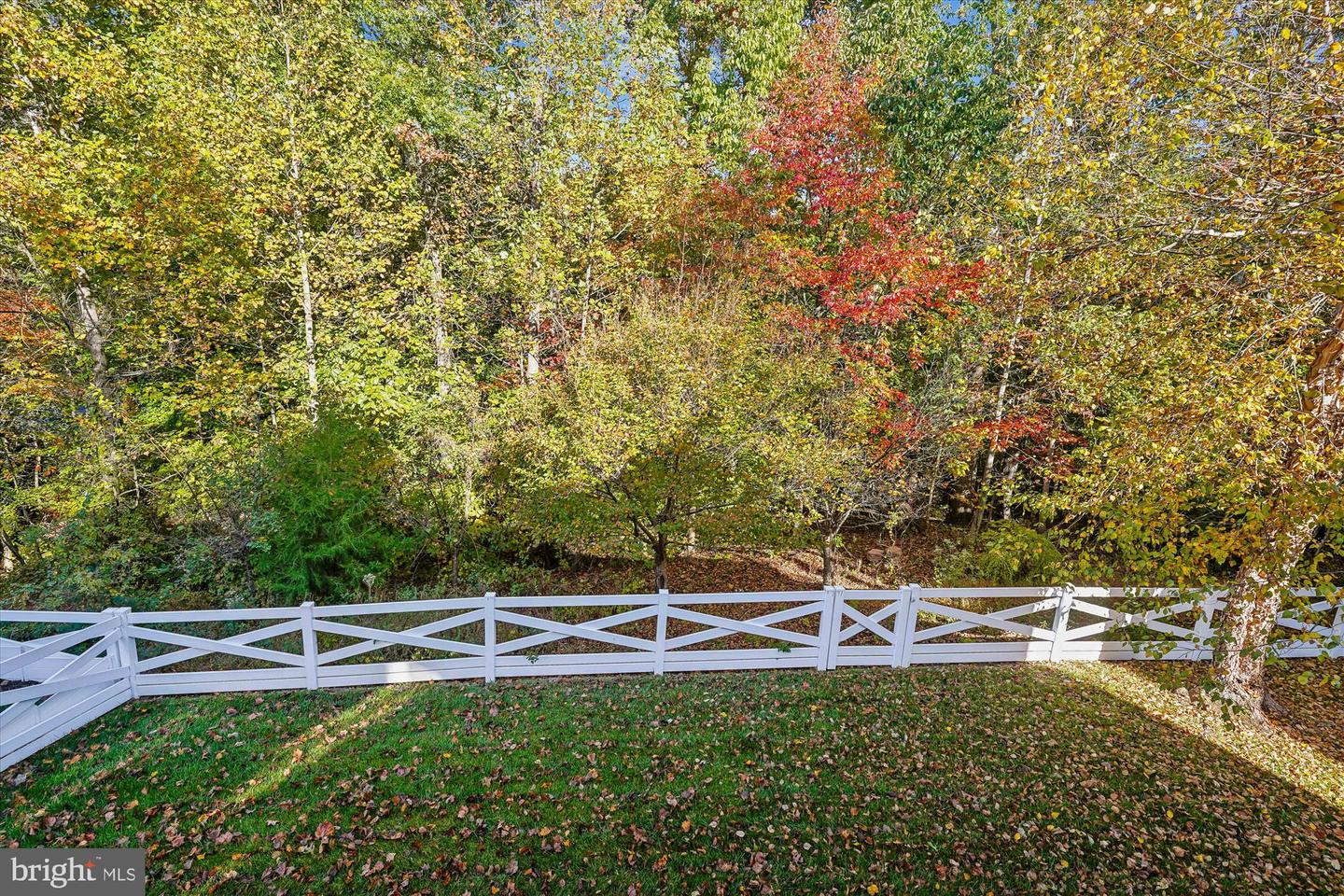8090 PAPER BIRCH DR, LORTON, Virginia 22079, 5 Bedrooms Bedrooms, ,4 BathroomsBathrooms,Residential,For sale,8090 PAPER BIRCH DR,VAFX2276030 MLS # VAFX2276030 8090 PAPER BIRCH DR, LORTON, Virginia 22079, 5 Bedrooms Bedrooms, ,4 BathroomsBathrooms,Residential,For sale,8090 PAPER BIRCH DR,VAFX2276030 MLS # VAFX2276030