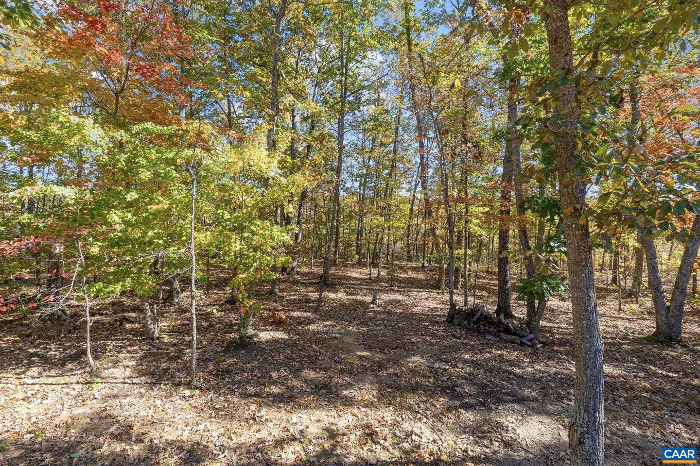 4491 PRESIDENTS RD, SCOTTSVILLE, Virginia 24590, 3 Bedrooms Bedrooms, ,2 BathroomsBathrooms,Residential,For sale,4491 PRESIDENTS RD,670361 MLS # 670361 4491 PRESIDENTS RD, SCOTTSVILLE, Virginia 24590, 3 Bedrooms Bedrooms, ,2 BathroomsBathrooms,Residential,For sale,4491 PRESIDENTS RD,670361 MLS # 670361