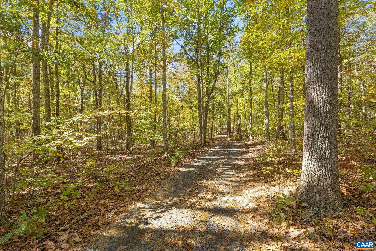 4491 PRESIDENTS RD, SCOTTSVILLE, Virginia 24590, 3 Bedrooms Bedrooms, ,2 BathroomsBathrooms,Residential,For sale,4491 PRESIDENTS RD,670361 MLS # 670361 4491 PRESIDENTS RD, SCOTTSVILLE, Virginia 24590, 3 Bedrooms Bedrooms, ,2 BathroomsBathrooms,Residential,For sale,4491 PRESIDENTS RD,670361 MLS # 670361