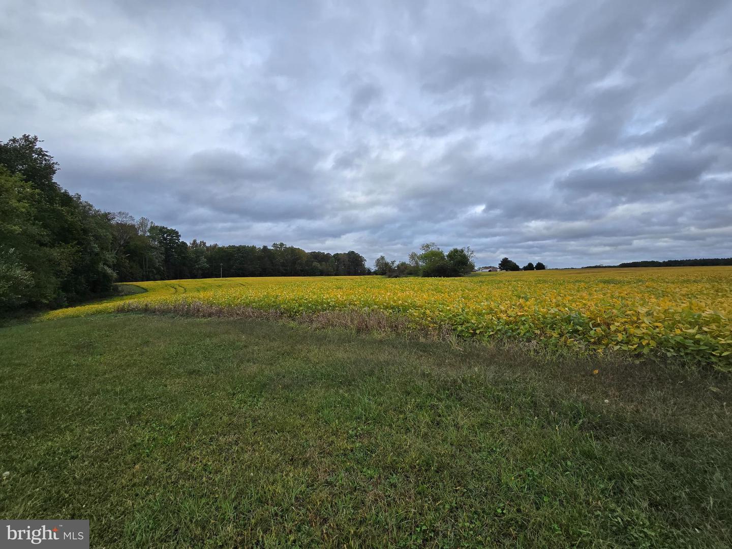2378 ULLAINEE RD, CARET, Virginia 22436, 3 Bedrooms Bedrooms, ,2 BathroomsBathrooms,Residential,For sale,2378 ULLAINEE RD,VAES2002074 MLS # VAES2002074 2378 ULLAINEE RD, CARET, Virginia 22436, 3 Bedrooms Bedrooms, ,2 BathroomsBathrooms,Residential,For sale,2378 ULLAINEE RD,VAES2002074 MLS # VAES2002074