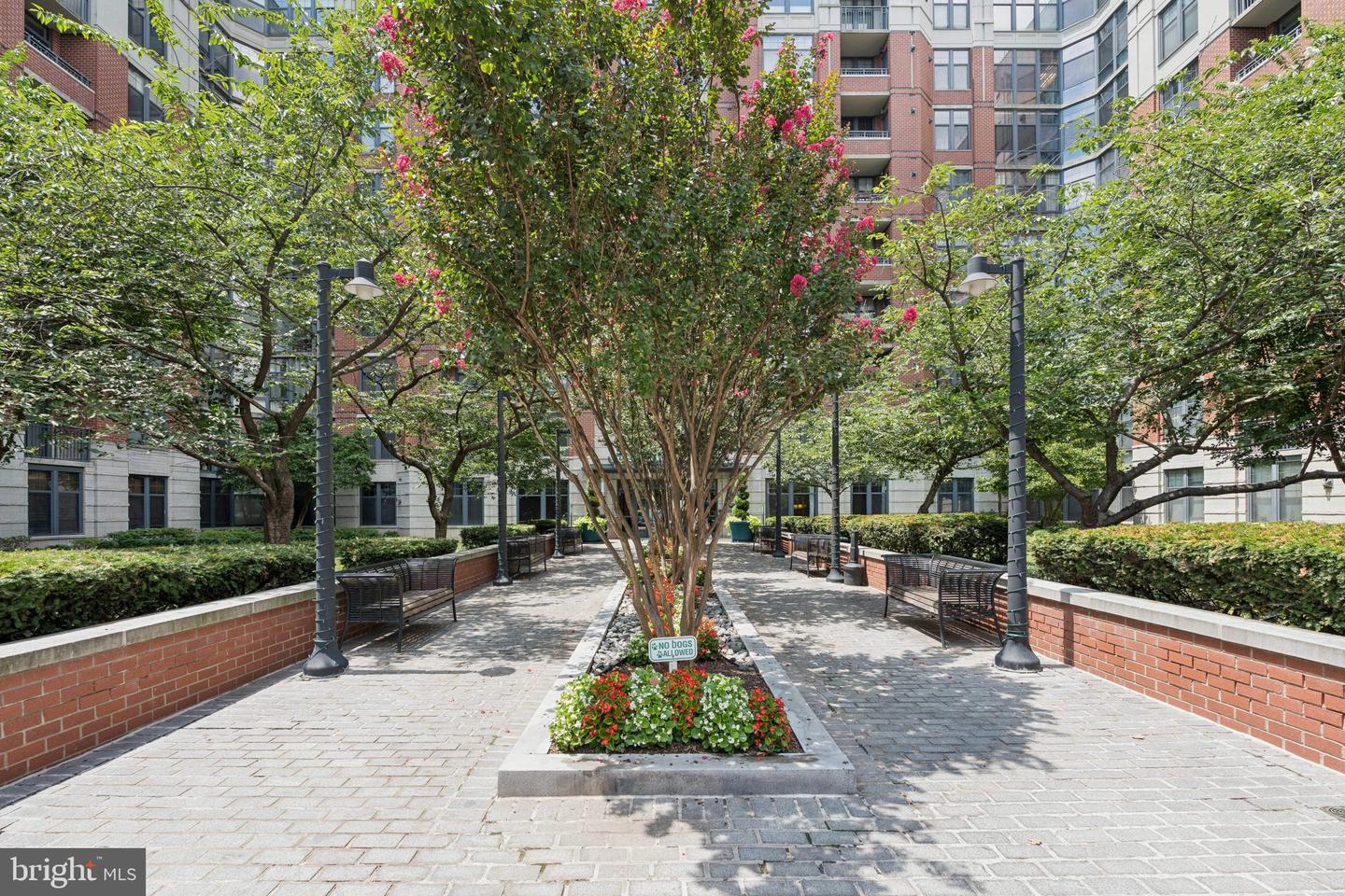 1021 N GARFIELD ST #B39, ARLINGTON, Virginia 22201, 1 Bedroom Bedrooms, ,1 BathroomBathrooms,Residential,For sale,1021 N GARFIELD ST #B39,VAAR2065346 MLS # VAAR2065346 1021 N GARFIELD ST #B39, ARLINGTON, Virginia 22201, 1 Bedroom Bedrooms, ,1 BathroomBathrooms,Residential,For sale,1021 N GARFIELD ST #B39,VAAR2065346 MLS # VAAR2065346