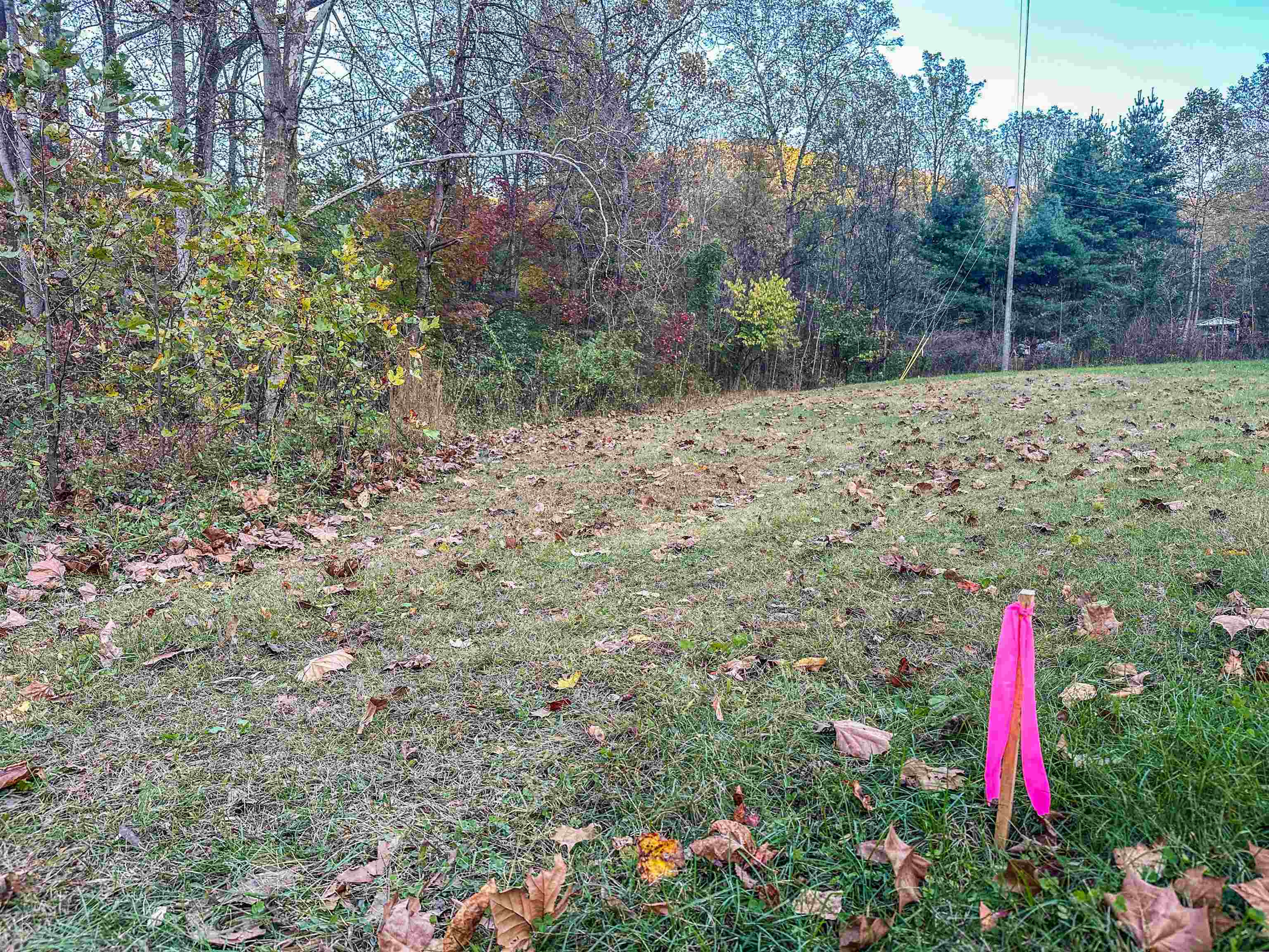 TBD PEACEFUL LN, LOVINGSTON, Virginia 22949, ,Land,TBD PEACEFUL LN,670431 MLS # 670431