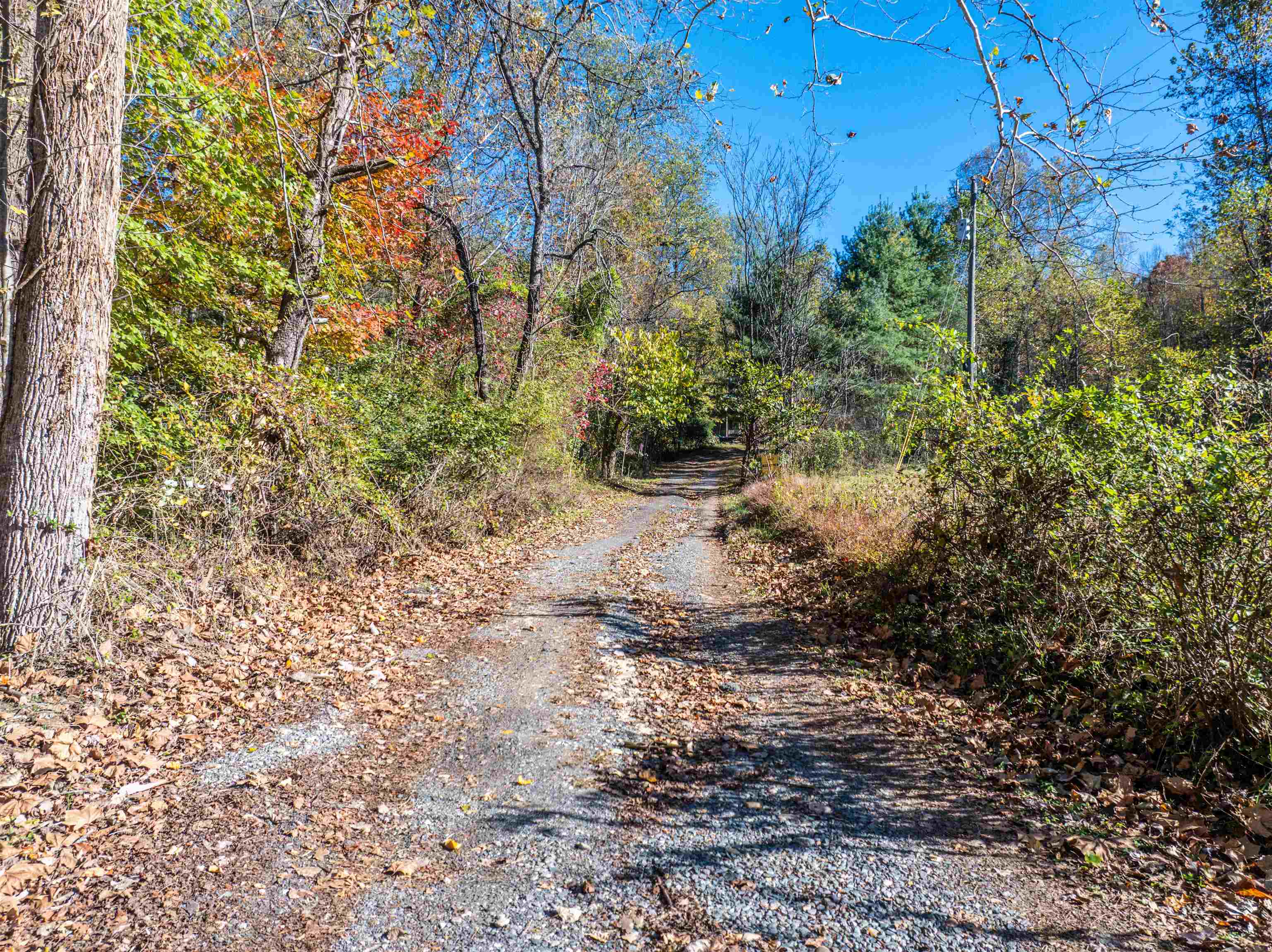 TBD PEACEFUL LN, LOVINGSTON, Virginia 22949, ,Land,TBD PEACEFUL LN,670431 MLS # 670431