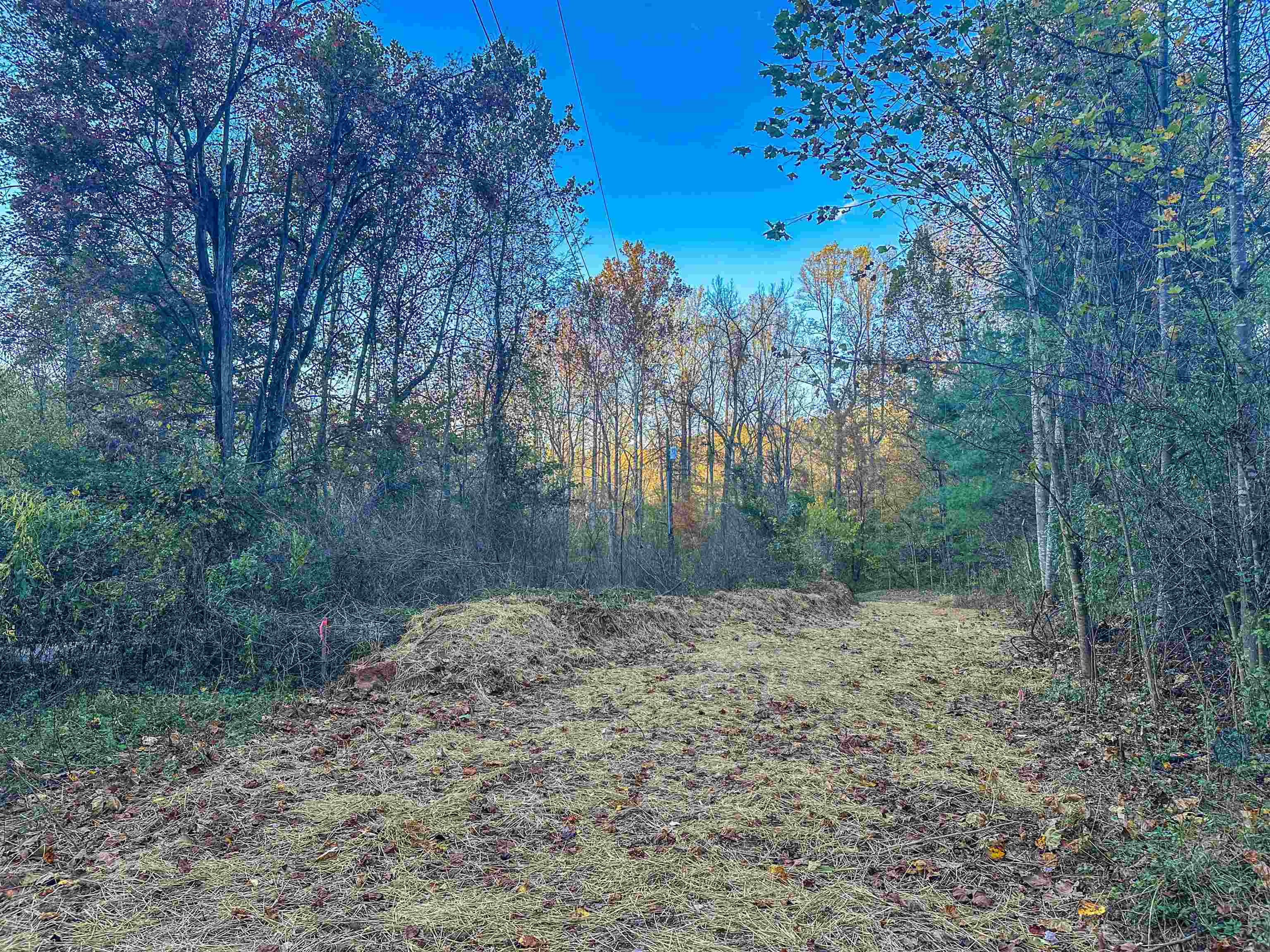 TBD PEACEFUL LN, LOVINGSTON, Virginia 22949, ,Land,TBD PEACEFUL LN,670431 MLS # 670431