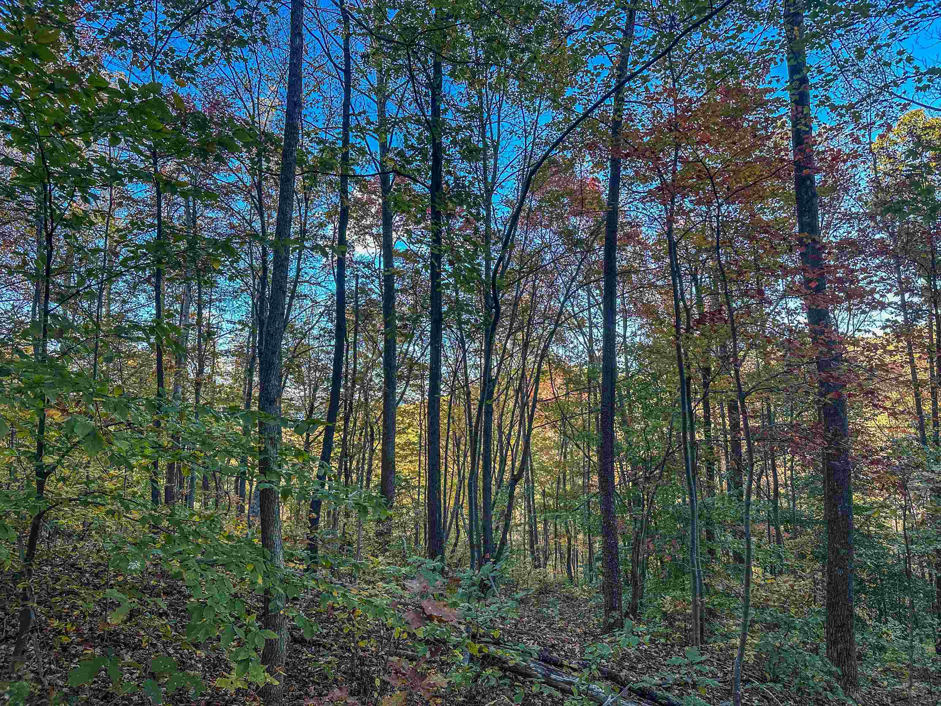 TBD PEACEFUL LN, LOVINGSTON, Virginia 22949, ,Land,TBD PEACEFUL LN,670431 MLS # 670431