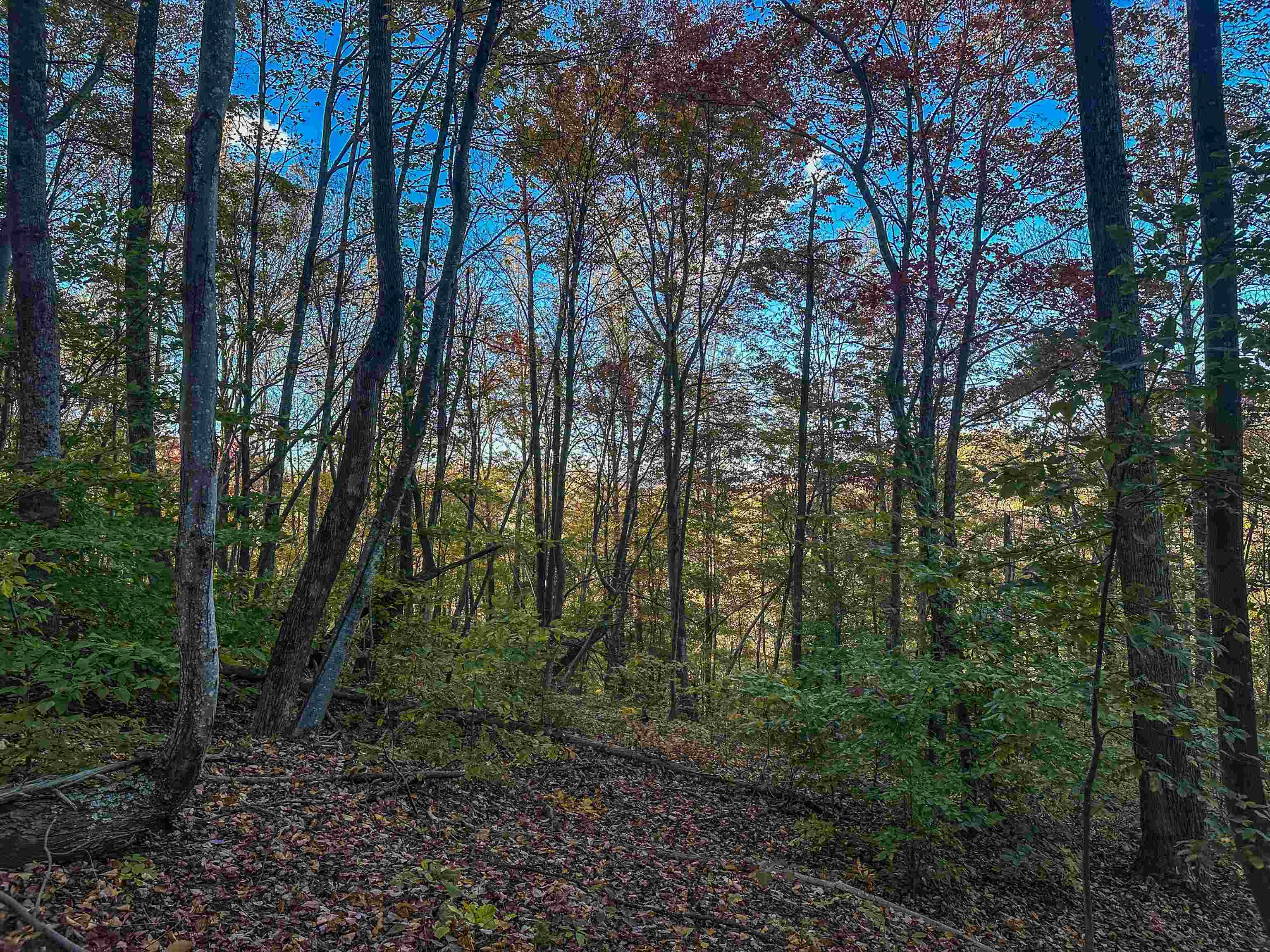 TBD PEACEFUL LN, LOVINGSTON, Virginia 22949, ,Land,TBD PEACEFUL LN,670431 MLS # 670431