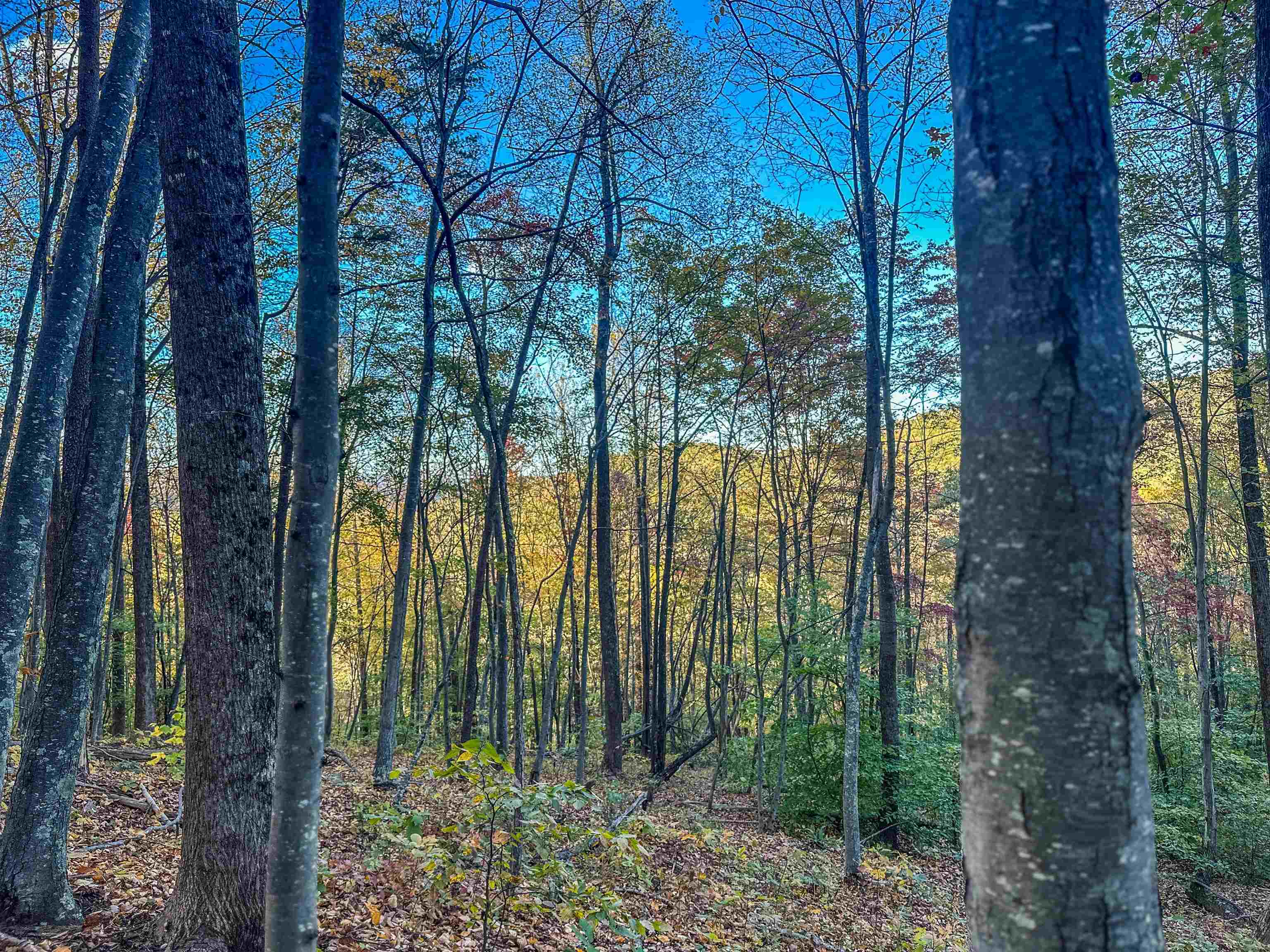 TBD PEACEFUL LN, LOVINGSTON, Virginia 22949, ,Land,TBD PEACEFUL LN,670431 MLS # 670431