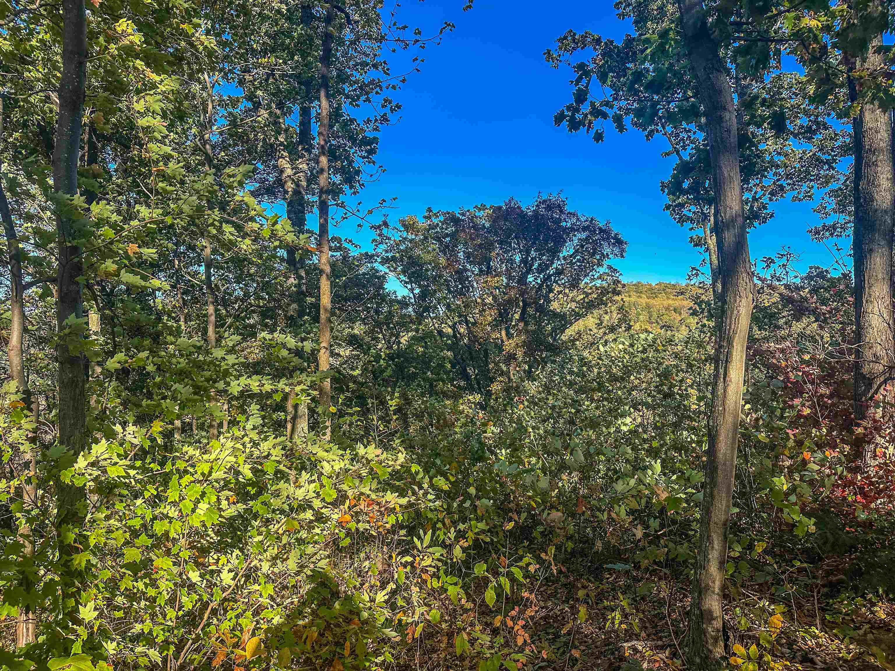 TBD PEACEFUL LN, LOVINGSTON, Virginia 22949, ,Land,TBD PEACEFUL LN,670431 MLS # 670431