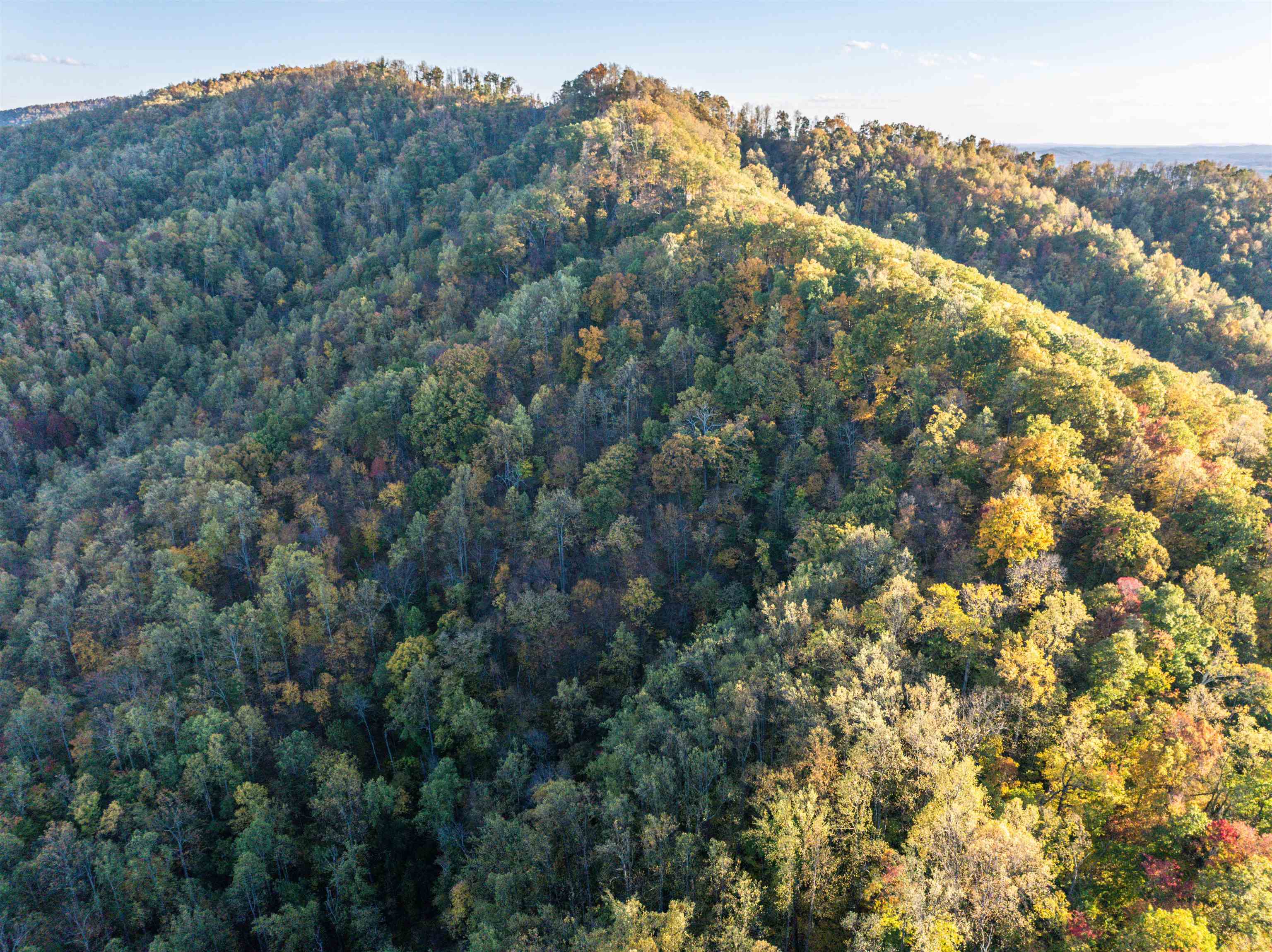 TBD PEACEFUL LN, LOVINGSTON, Virginia 22949, ,Land,TBD PEACEFUL LN,670431 MLS # 670431