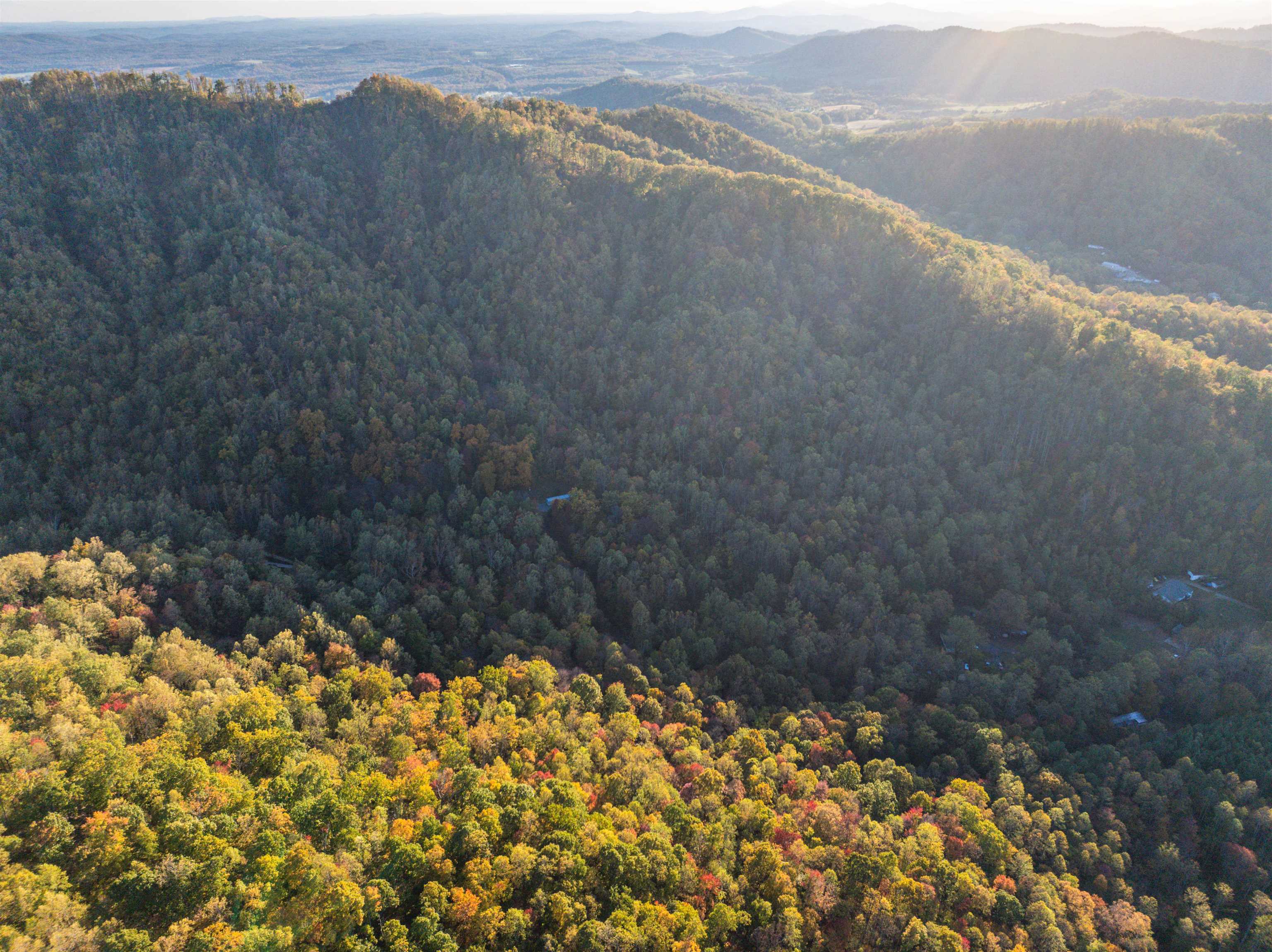 TBD PEACEFUL LN, LOVINGSTON, Virginia 22949, ,Land,TBD PEACEFUL LN,670431 MLS # 670431