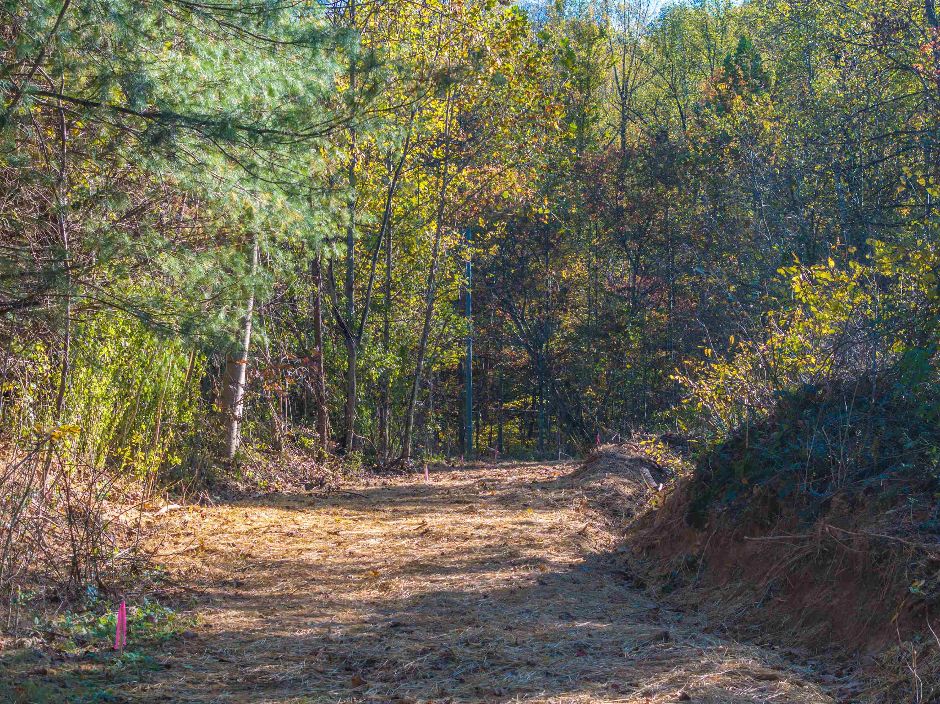 TBD PEACEFUL LN, LOVINGSTON, Virginia 22949, ,Land,TBD PEACEFUL LN,670431 MLS # 670431