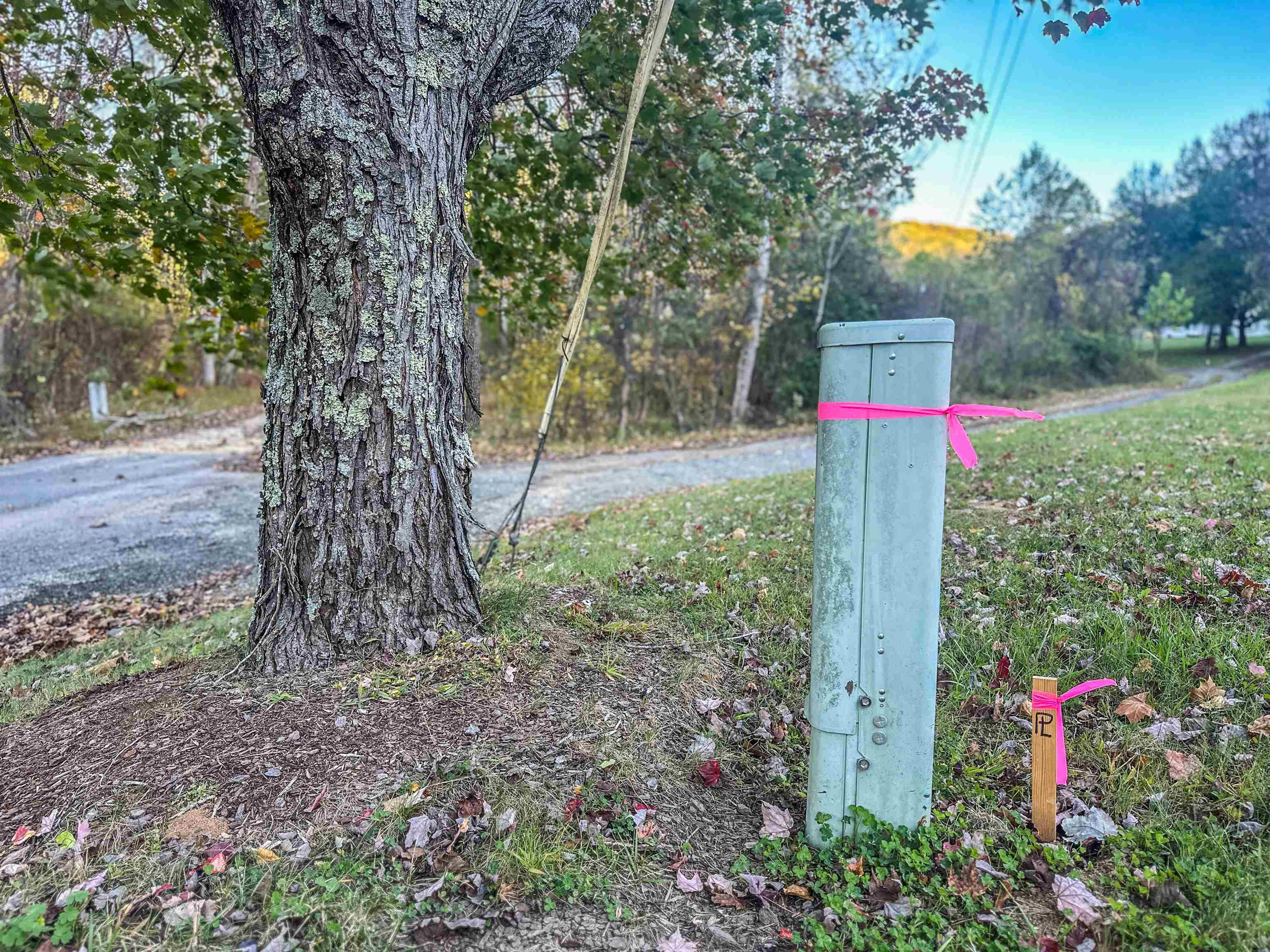 TBD PEACEFUL LN, LOVINGSTON, Virginia 22949, ,Land,TBD PEACEFUL LN,670431 MLS # 670431