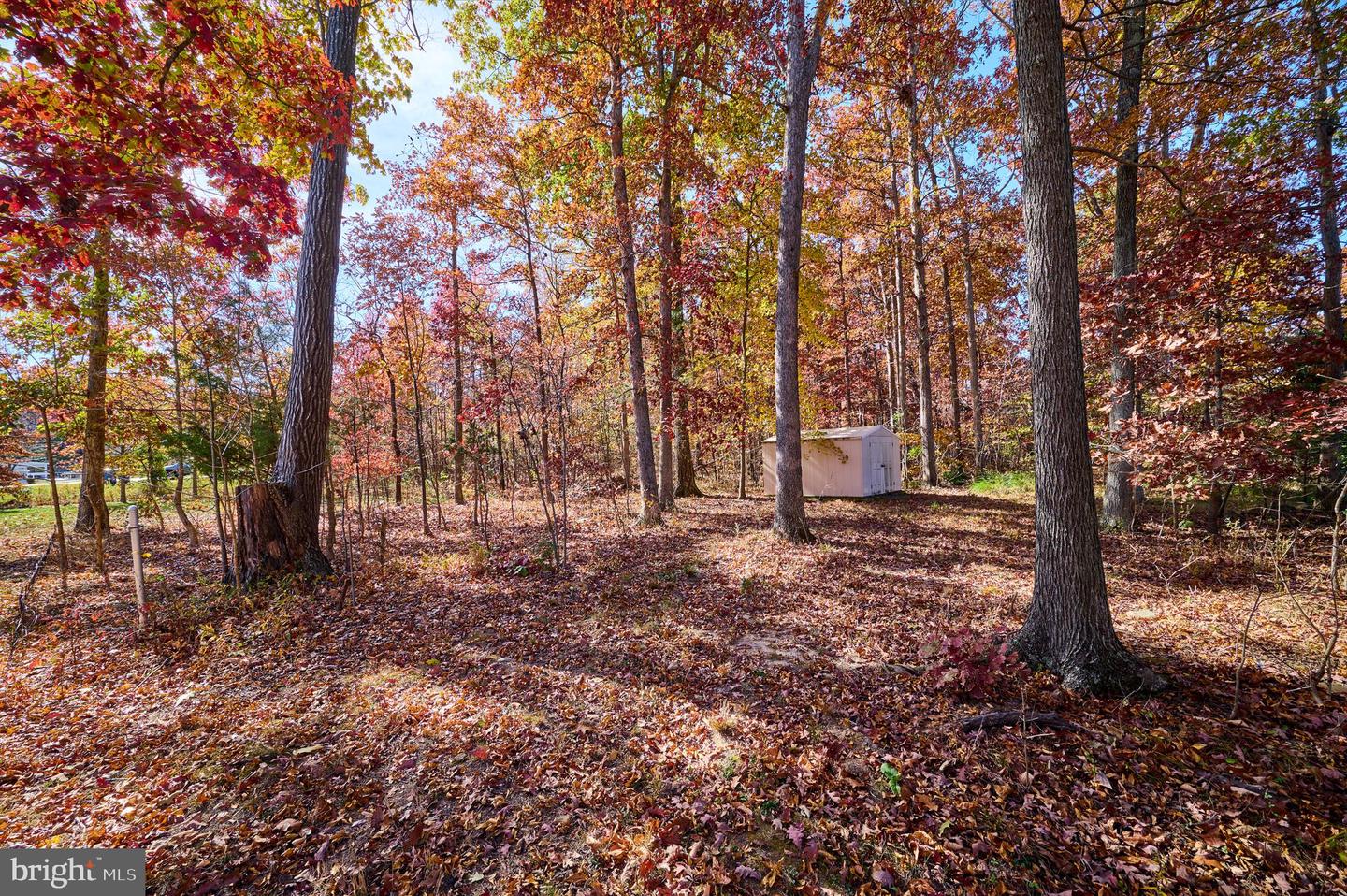 5726 WALCOTT AVE, FAIRFAX, Virginia 22030, ,Land,For sale,5726 WALCOTT AVE,VAFX2208876 MLS # VAFX2208876 5726 WALCOTT AVE, FAIRFAX, Virginia 22030, ,Land,For sale,5726 WALCOTT AVE,VAFX2208876 MLS # VAFX2208876