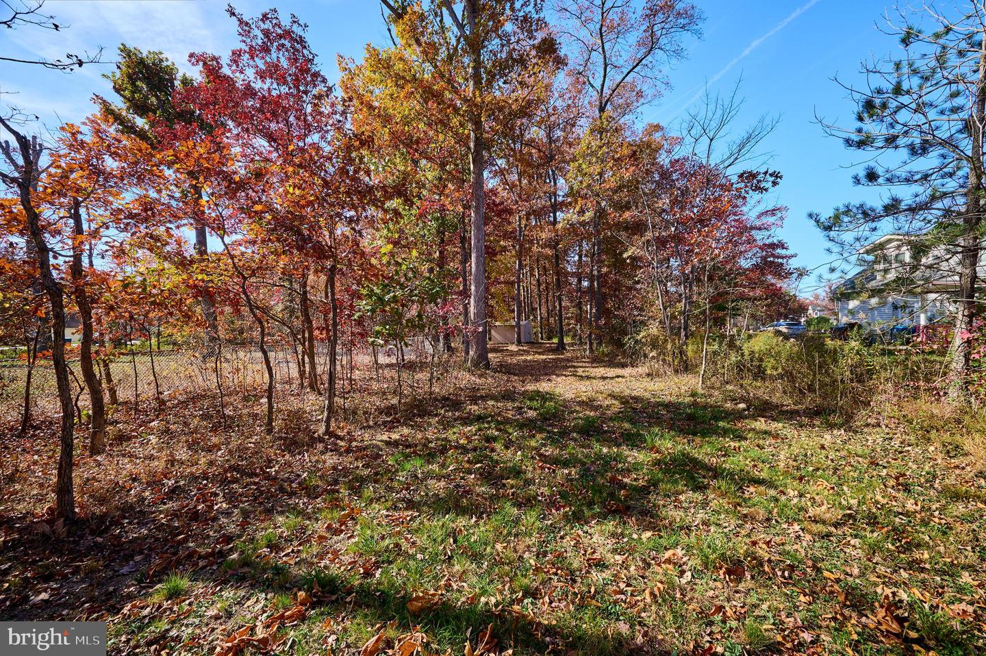 5726 WALCOTT AVE, FAIRFAX, Virginia 22030, ,Land,For sale,5726 WALCOTT AVE,VAFX2208876 MLS # VAFX2208876 5726 WALCOTT AVE, FAIRFAX, Virginia 22030, ,Land,For sale,5726 WALCOTT AVE,VAFX2208876 MLS # VAFX2208876